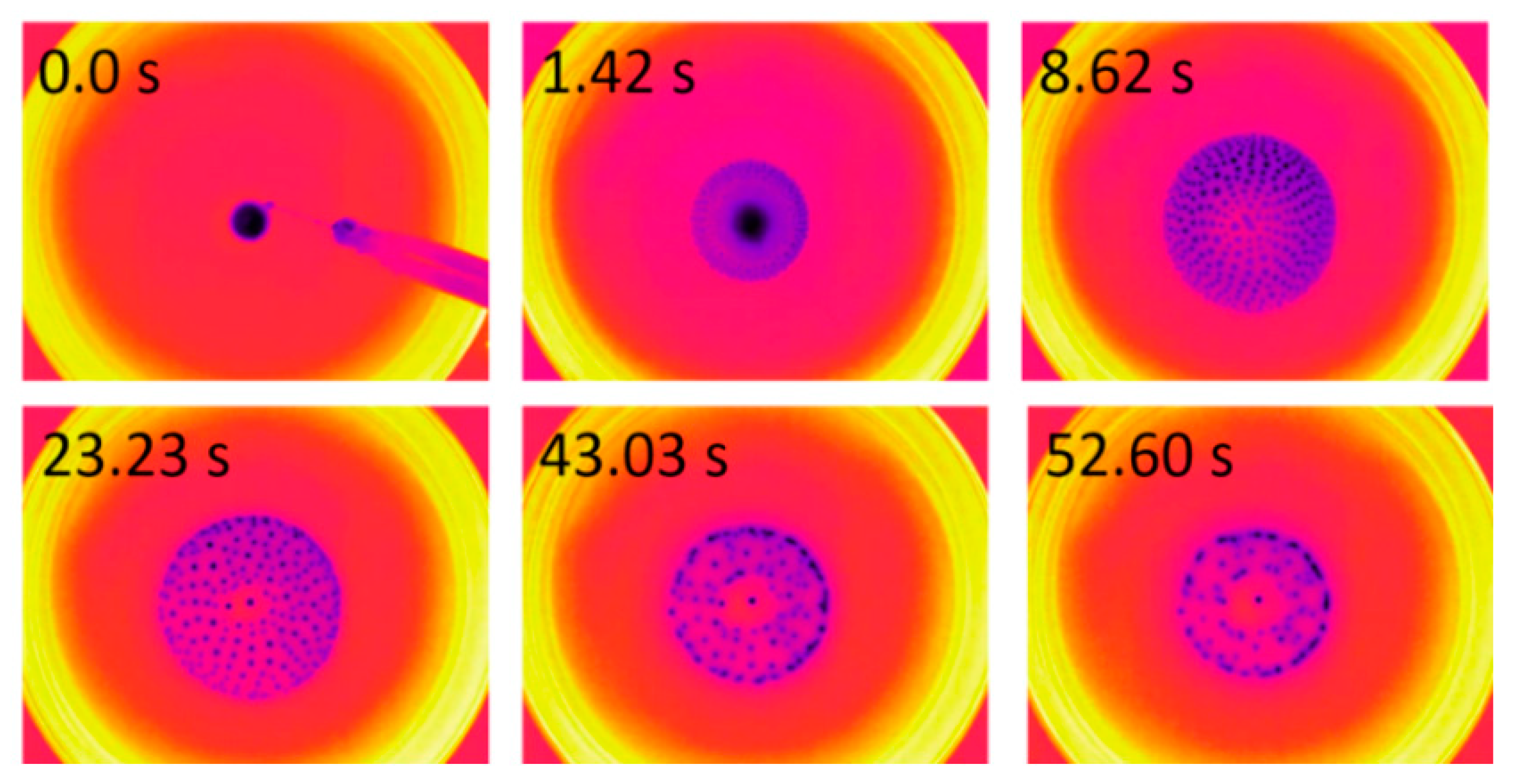 Fluids 08 00255 g008