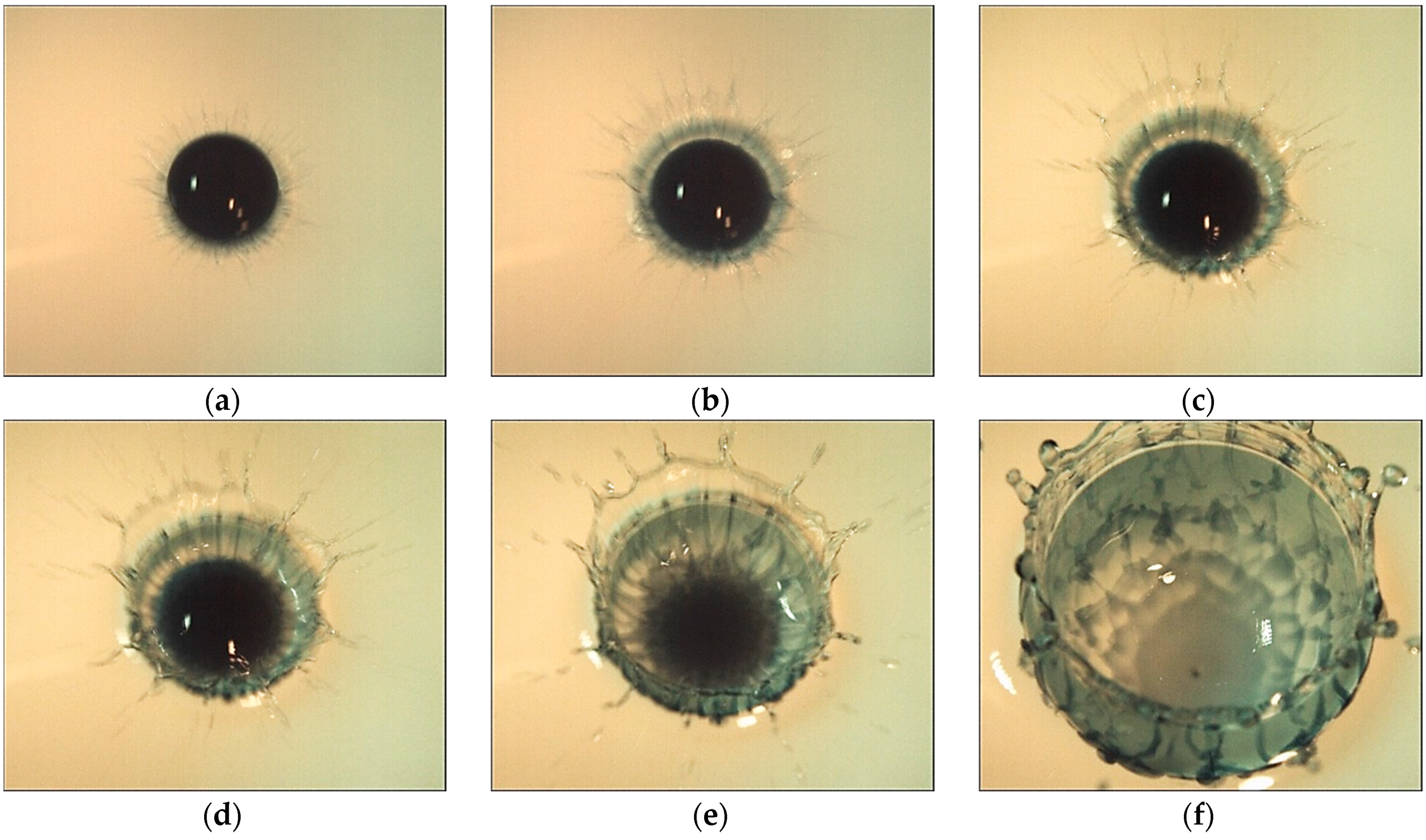 Fluids 08 00269 g002