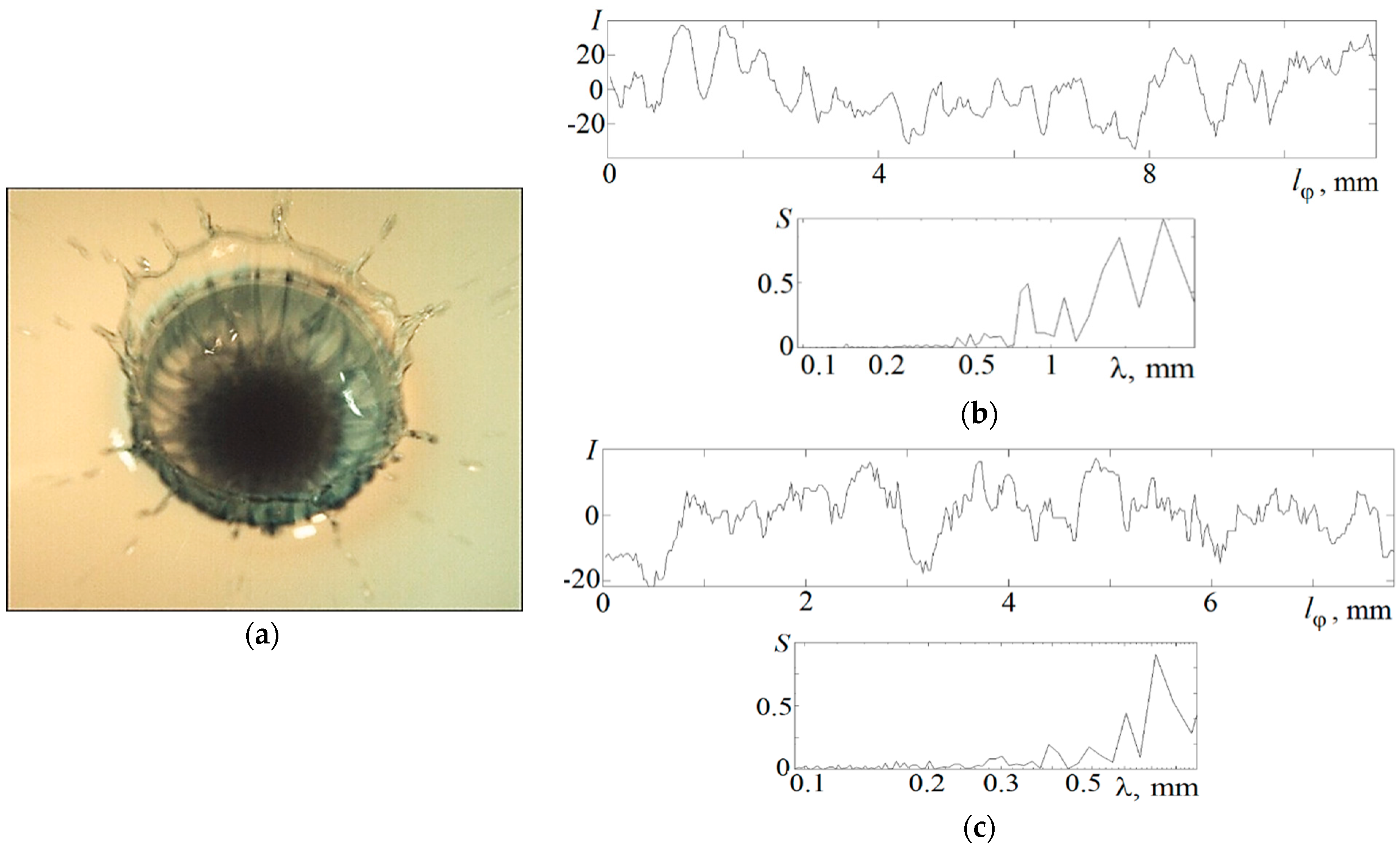 Fluids 08 00269 g003
