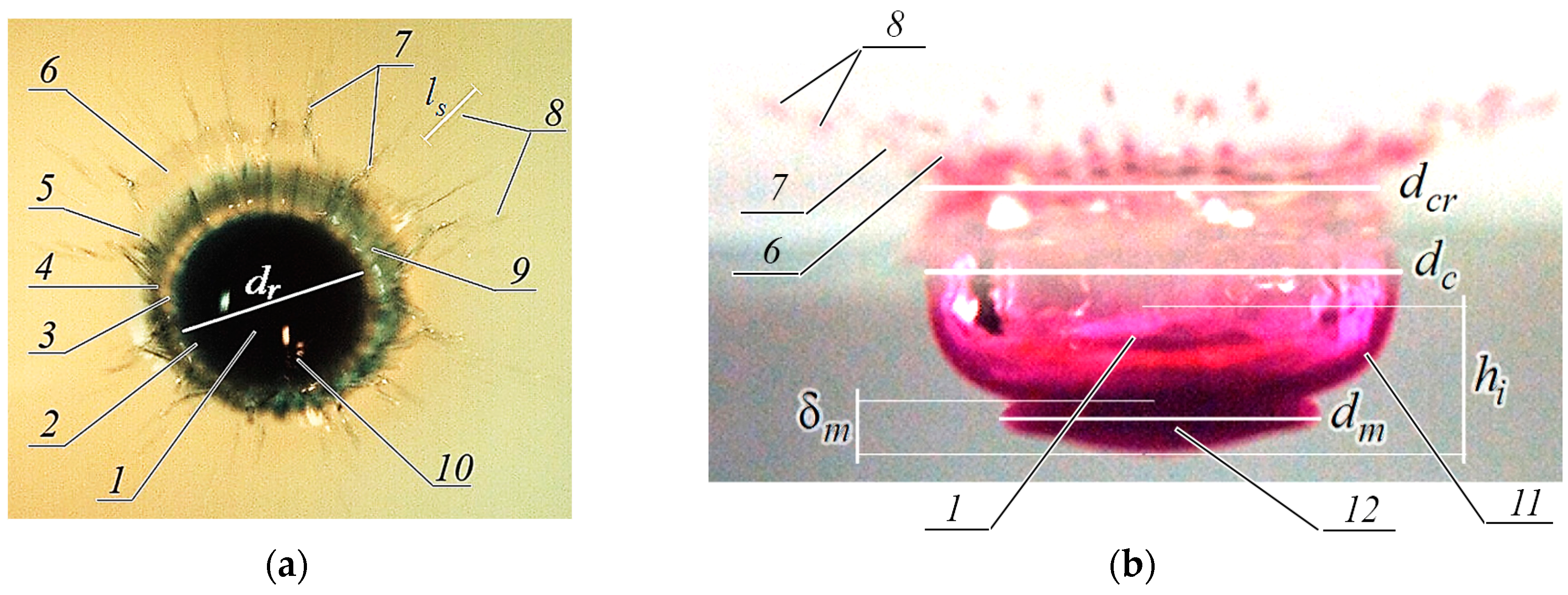 Fluids 08 00269 g004