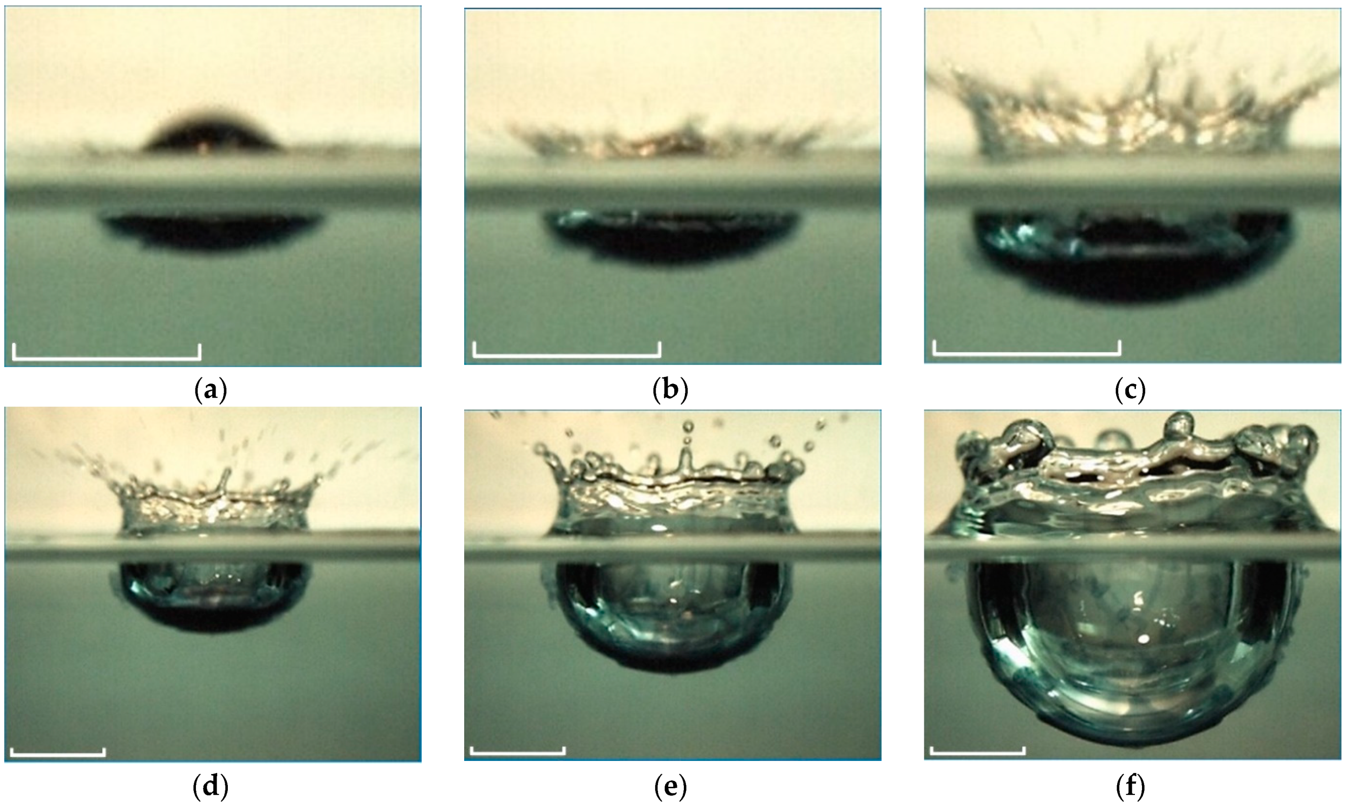 Fluids 08 00269 g006