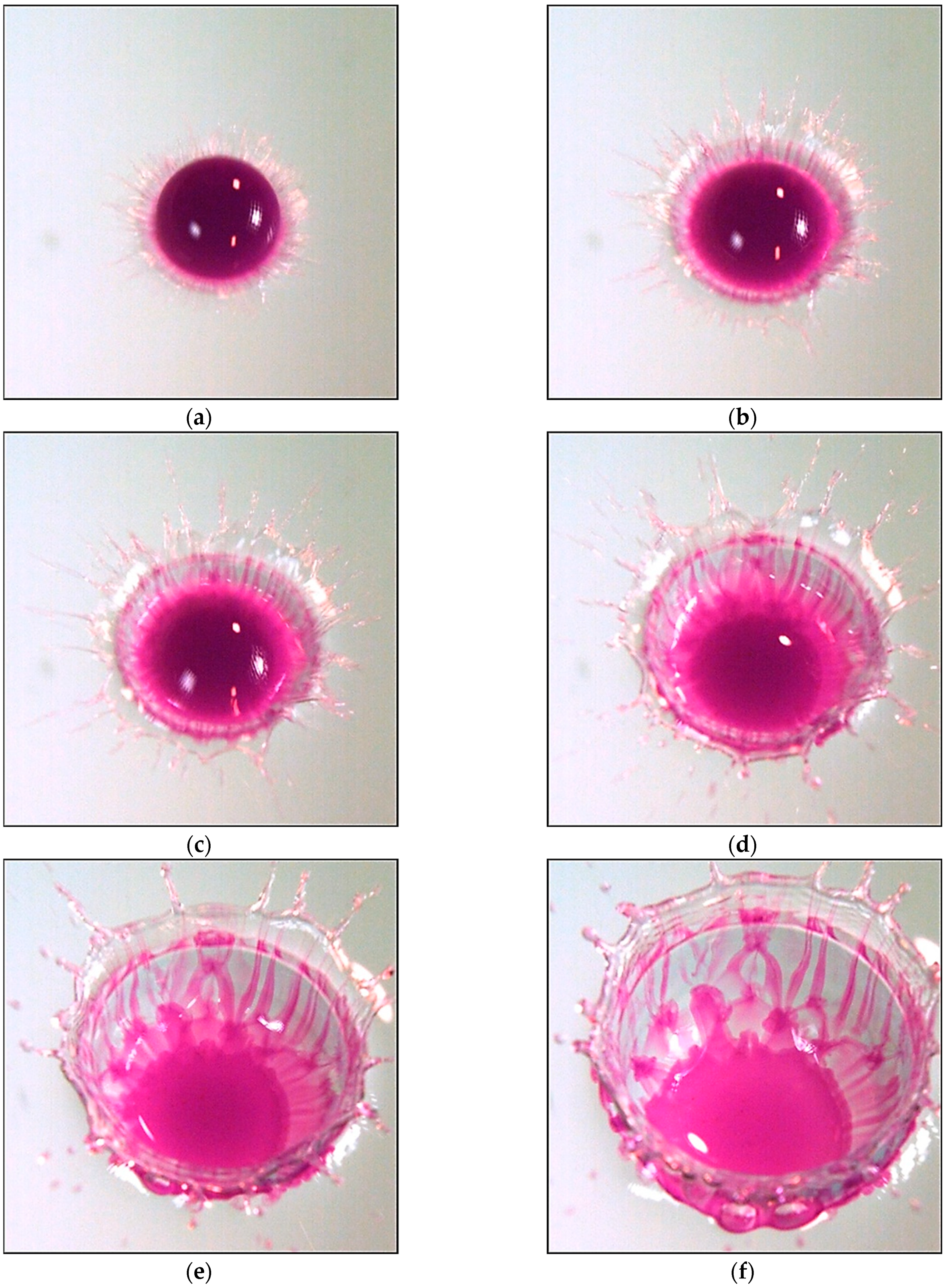 Fluids 08 00269 g007