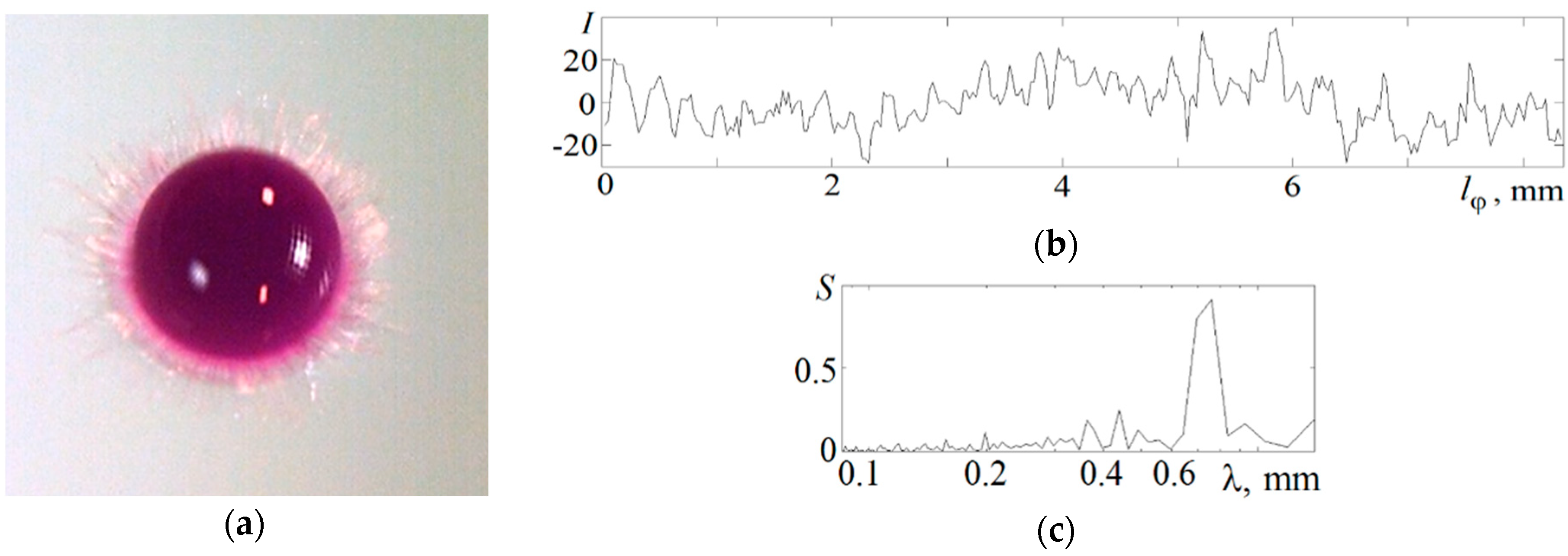 Fluids 08 00269 g008