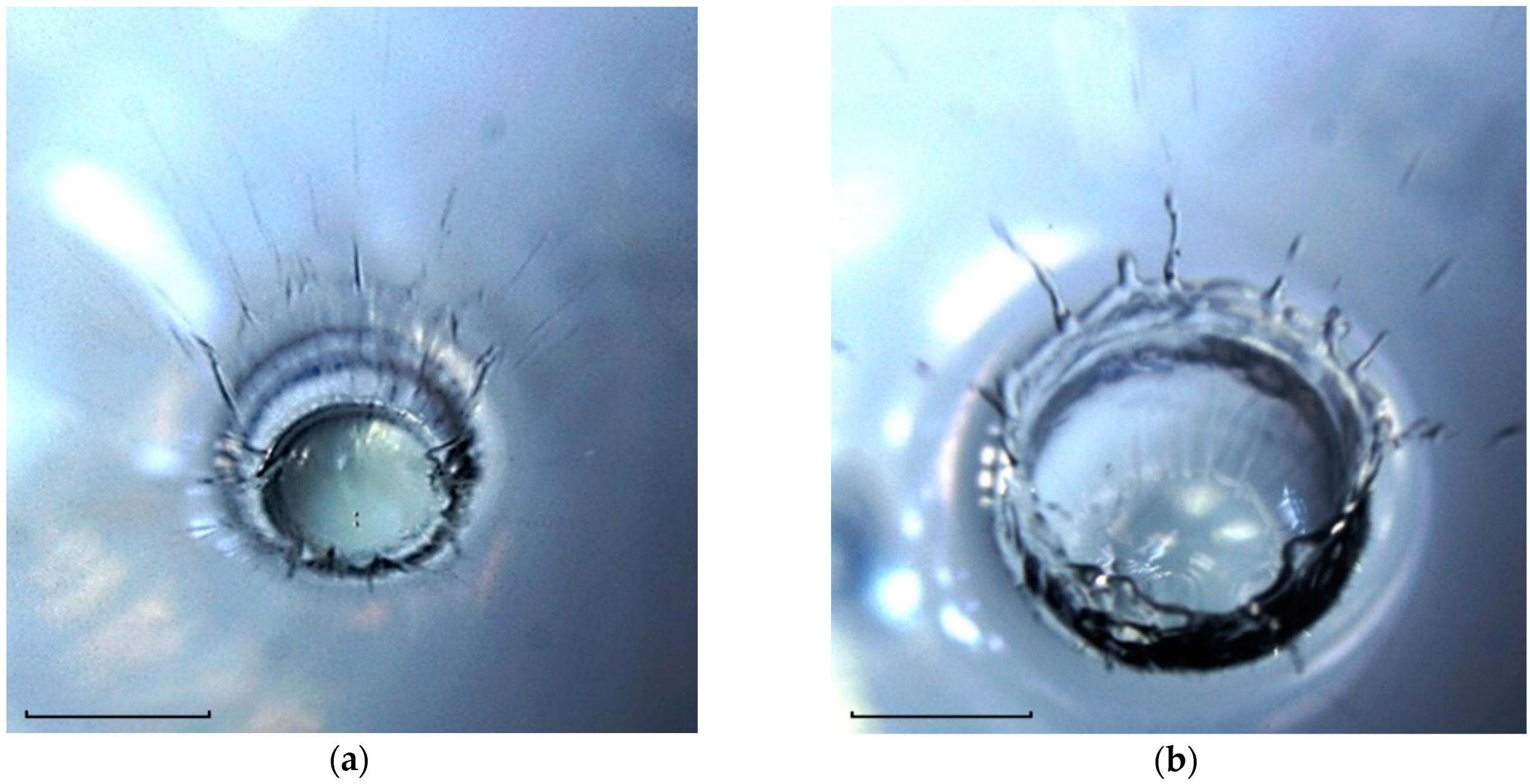 Fluids 08 00269 g014