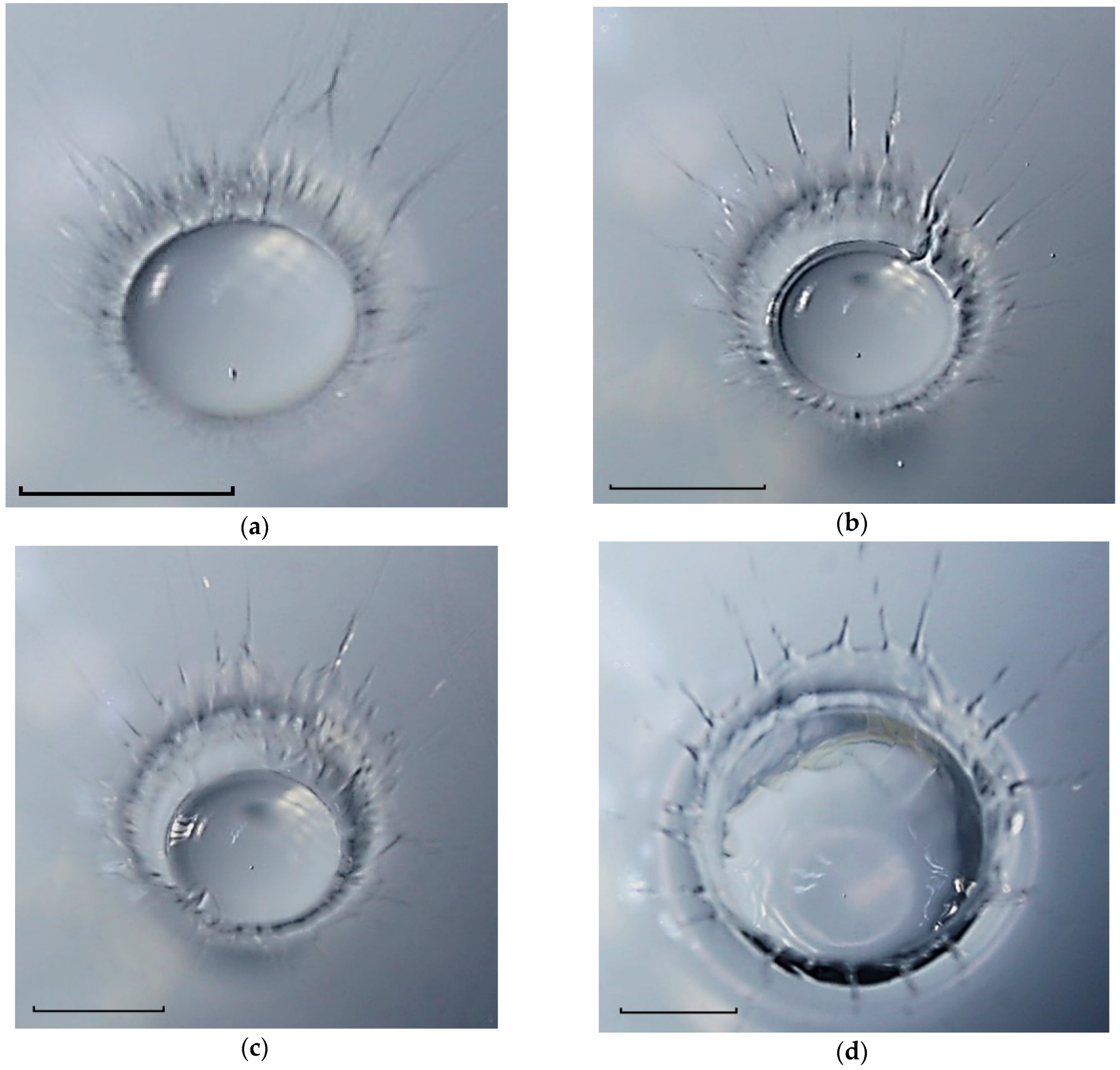 Fluids 08 00269 g016