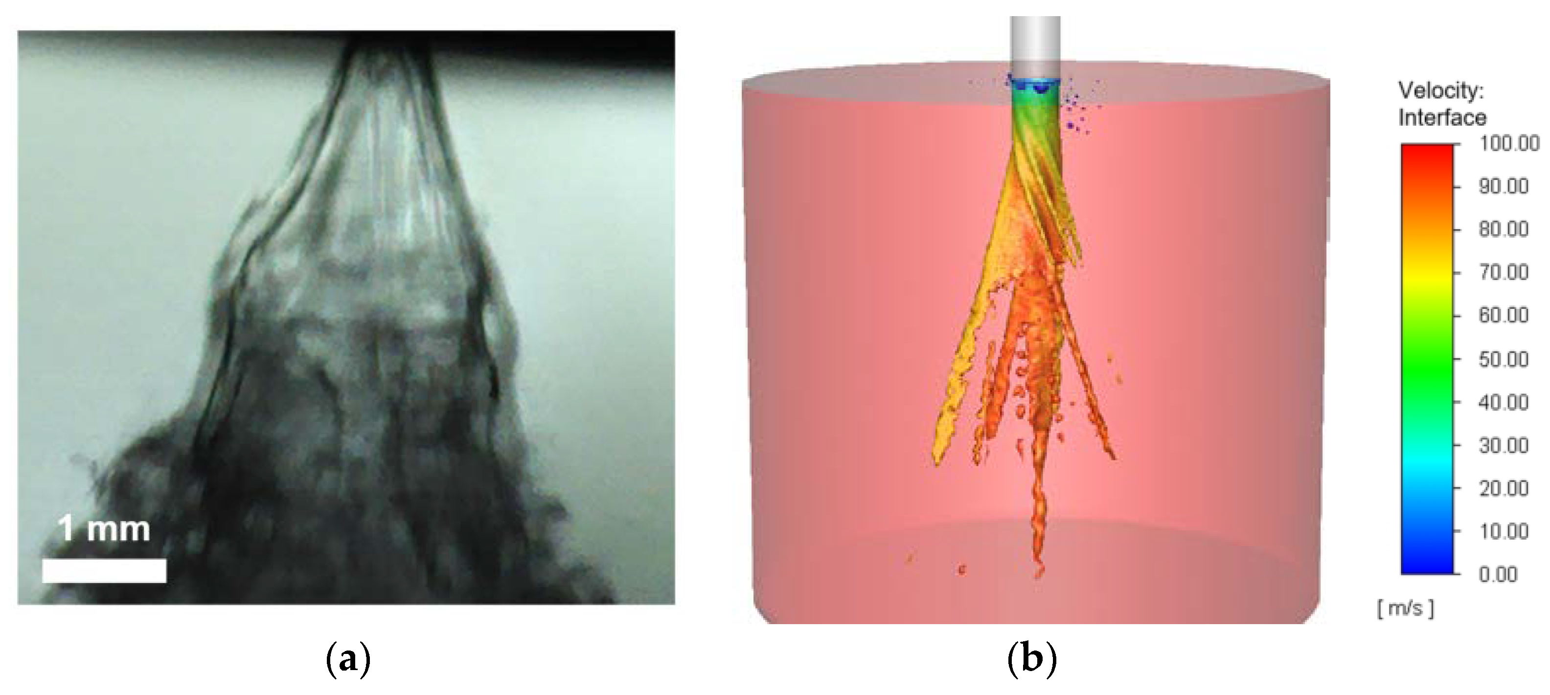 Fluids 08 00277 g012
