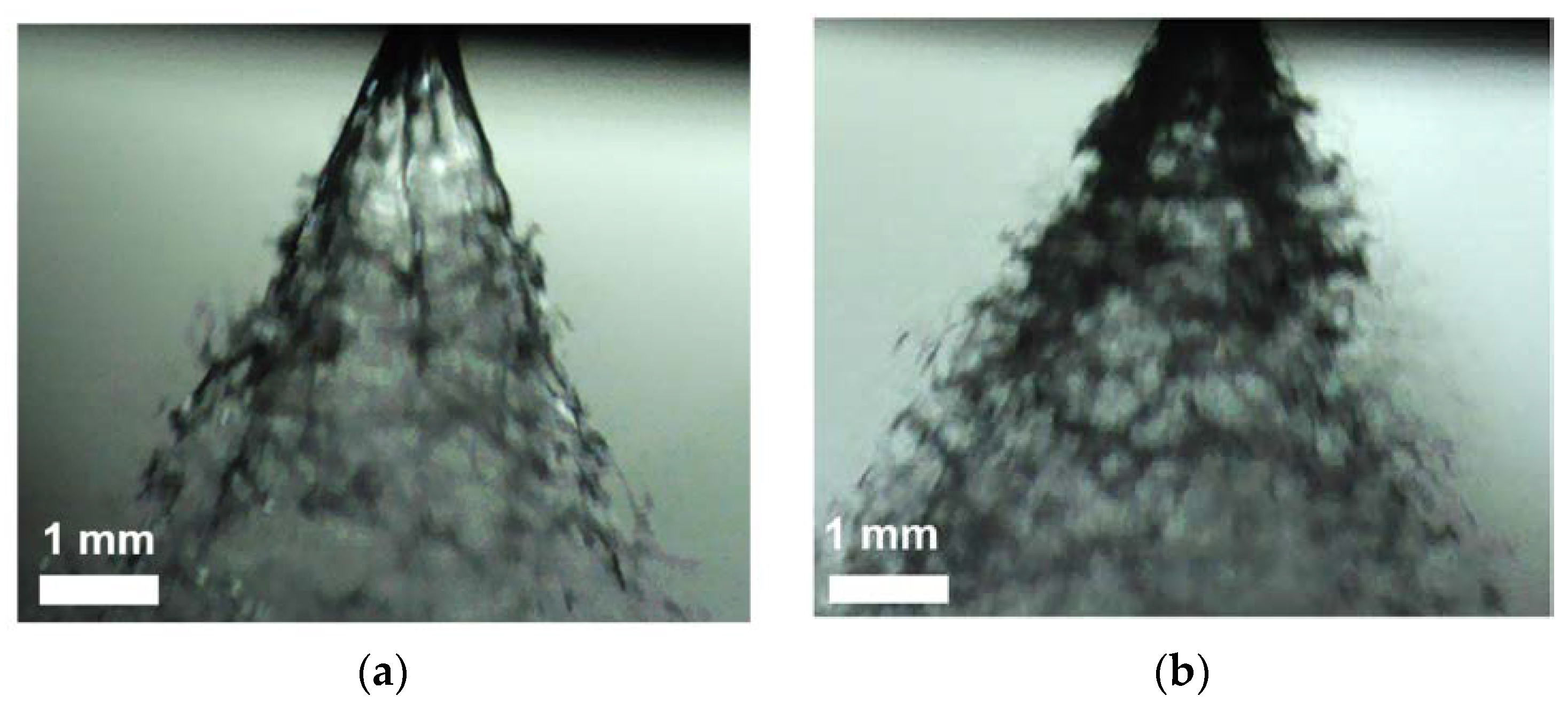 Fluids 08 00277 g013