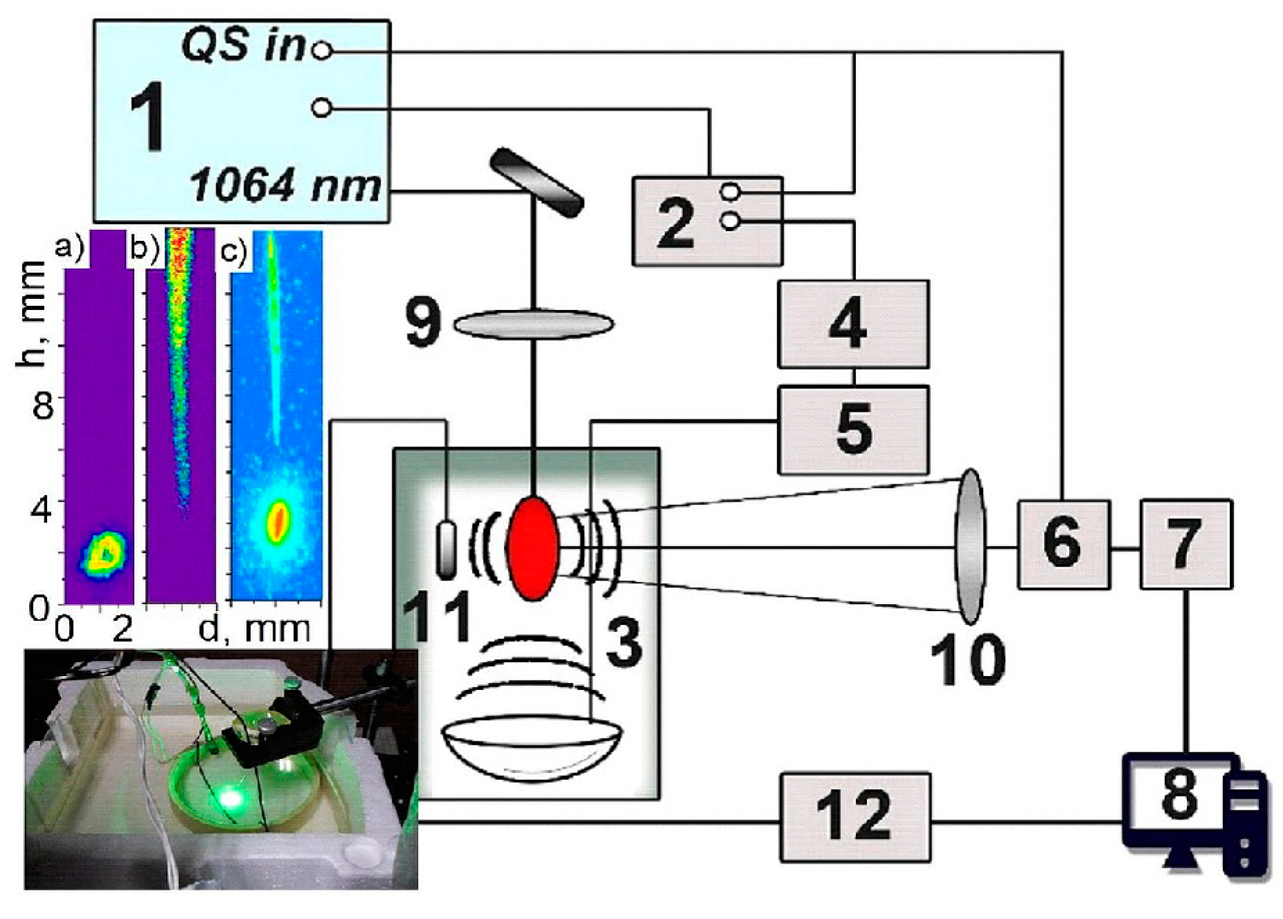 Fluids 09 00003 g014