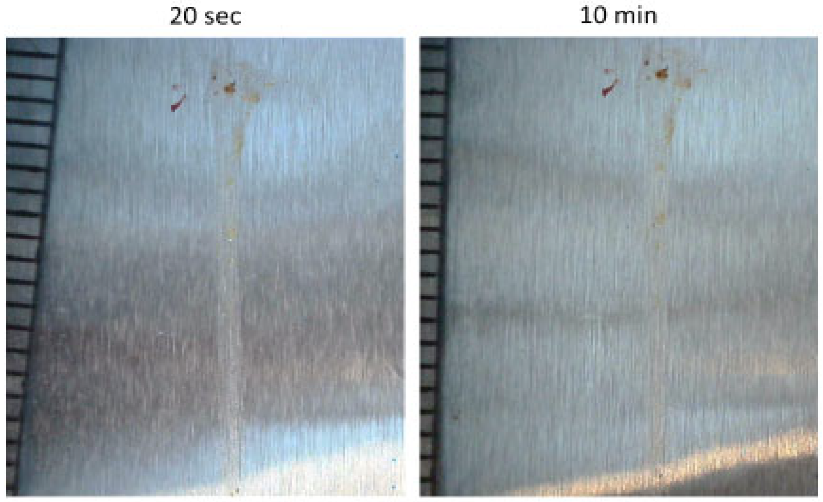 Fluids 09 00008 g006