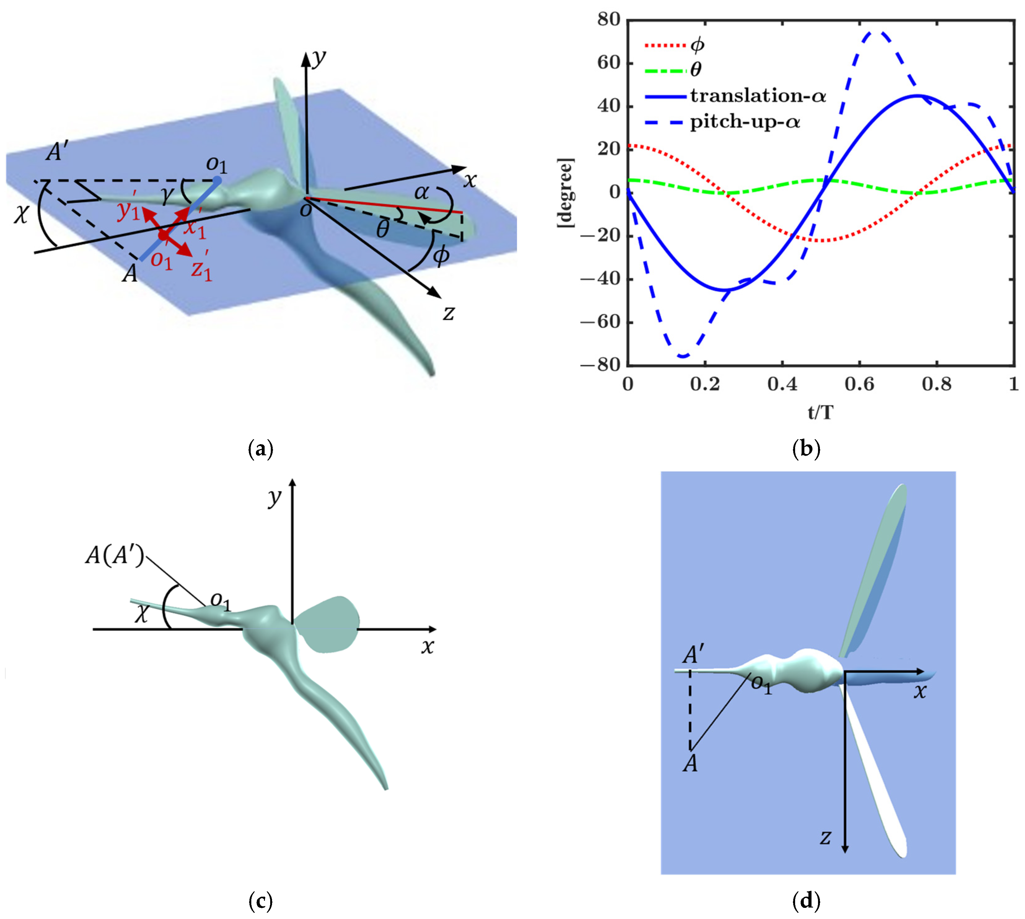 Characterization of the Wing Tone around the Antennae of a