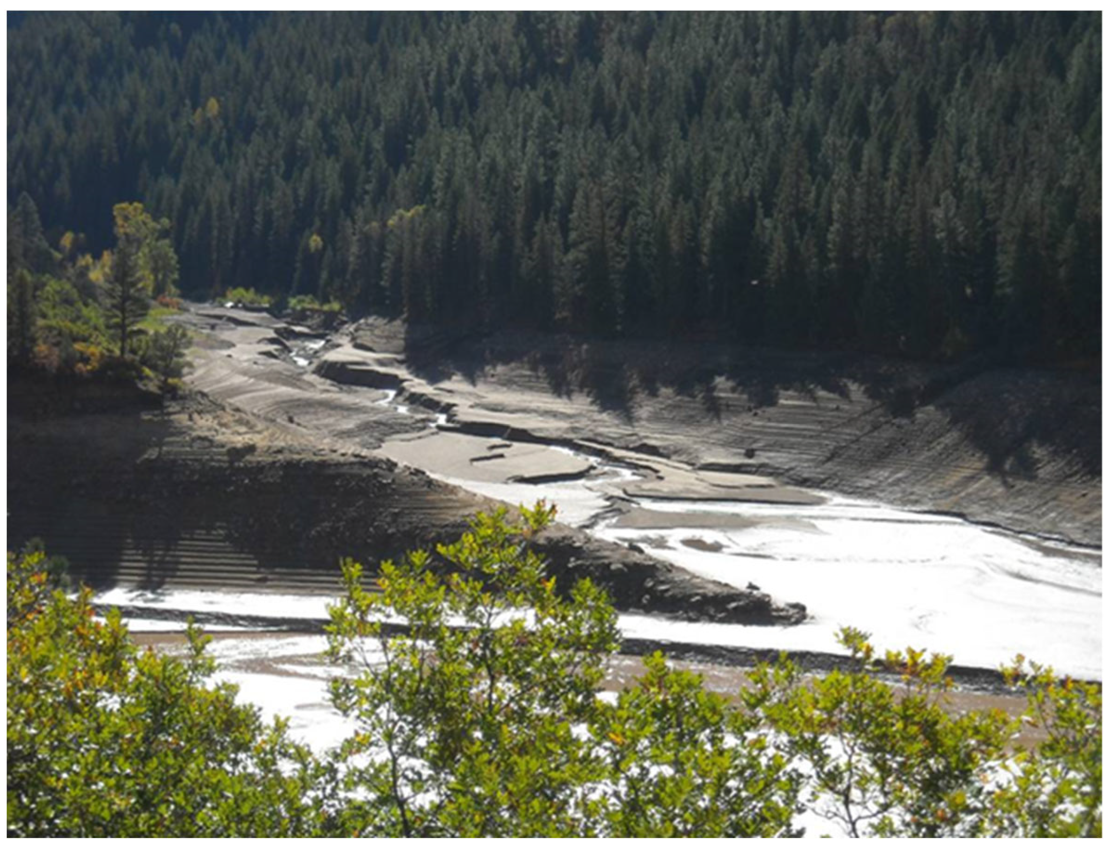 Fluids 09 00038 g004