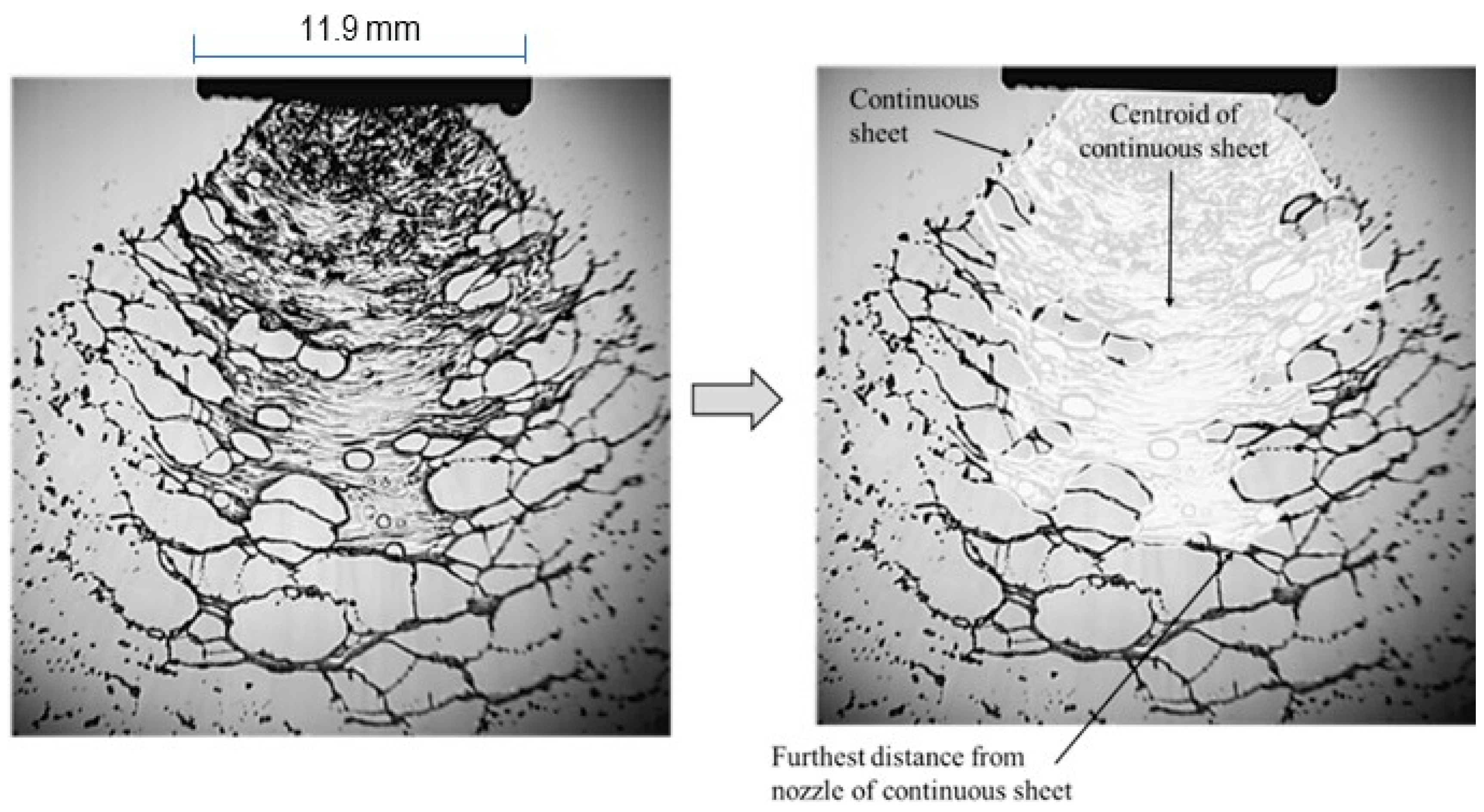 Fluids 09 00040 g001