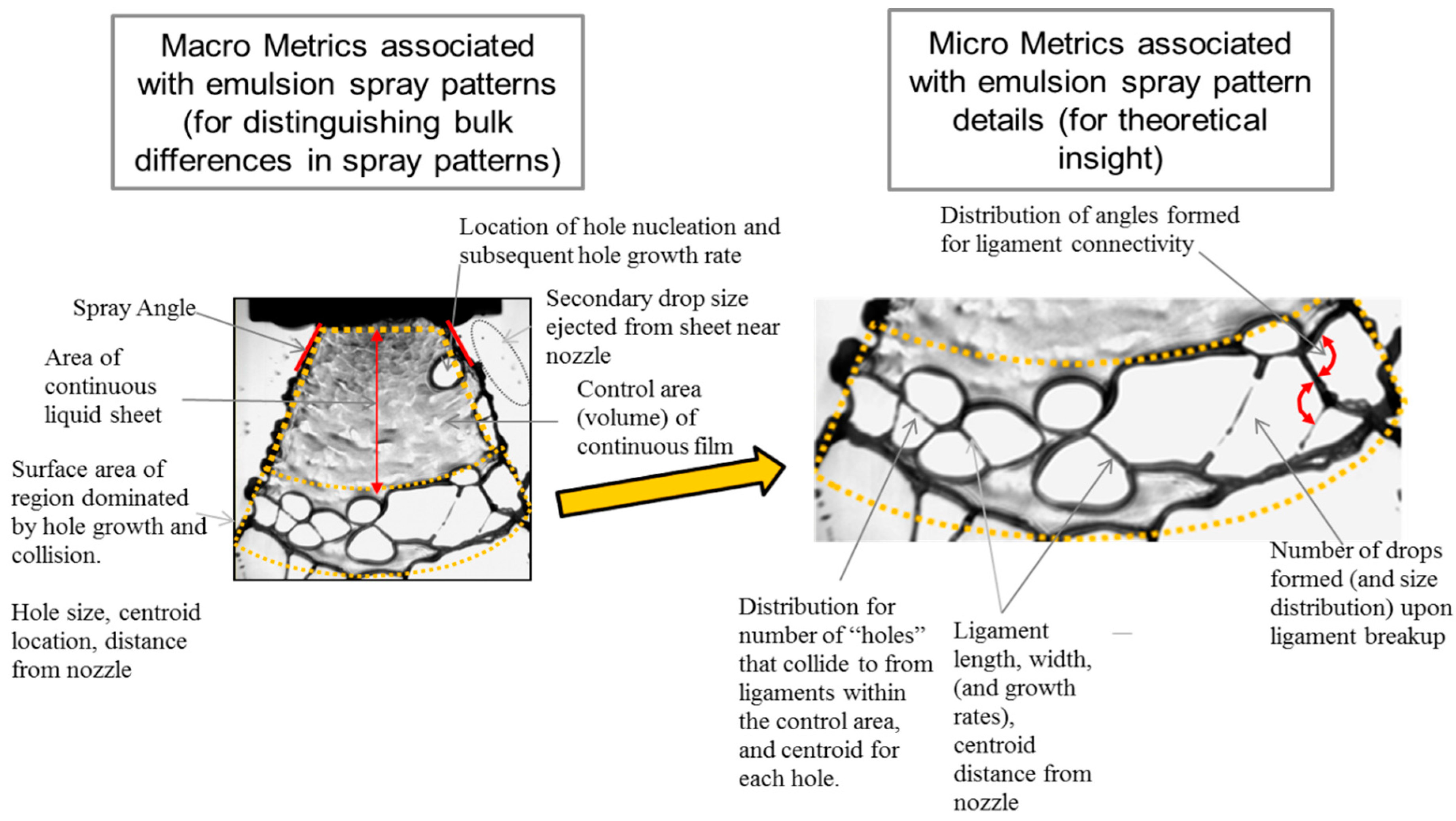 Fluids 09 00040 g002
