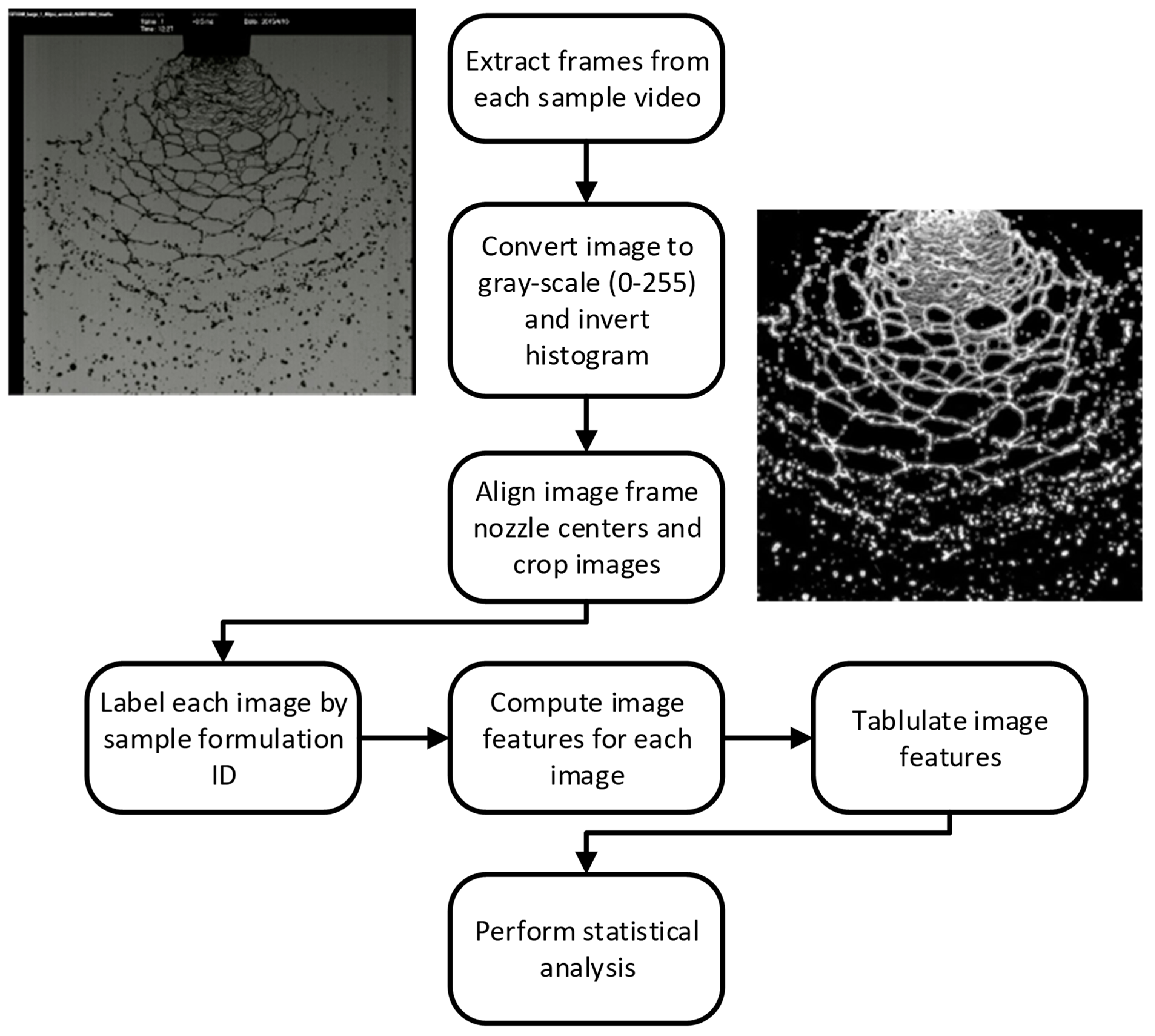 Fluids 09 00040 g003