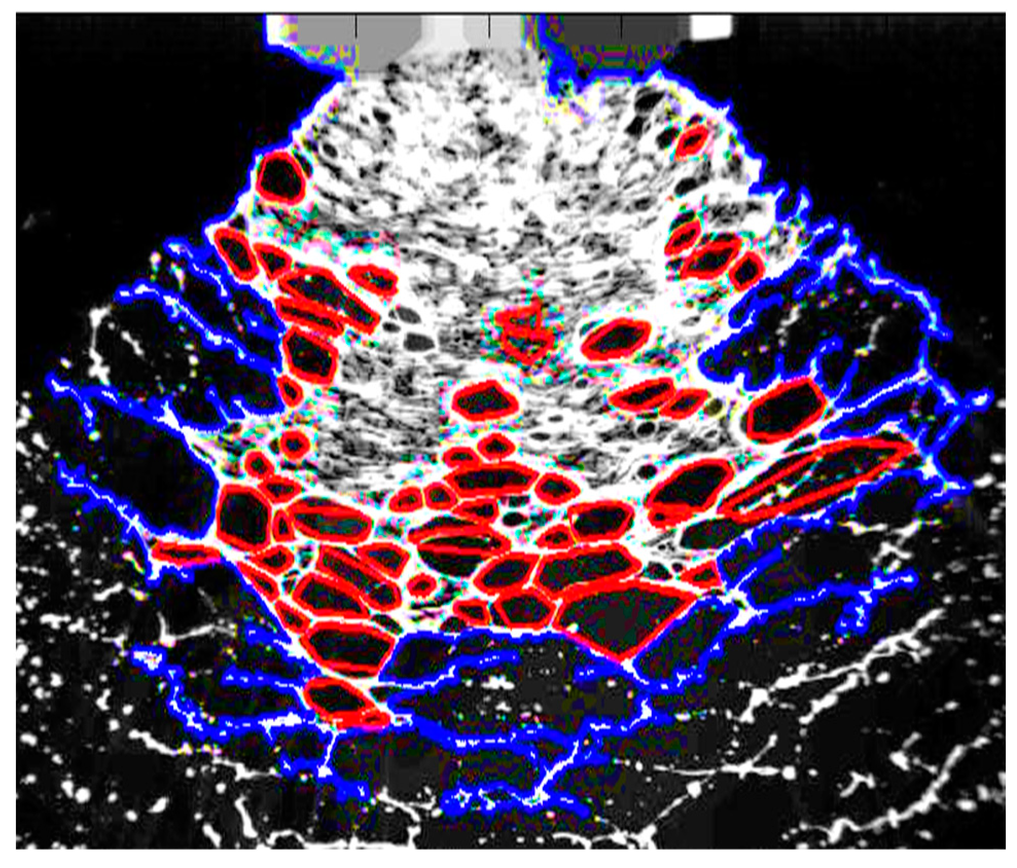 Fluids 09 00040 g004