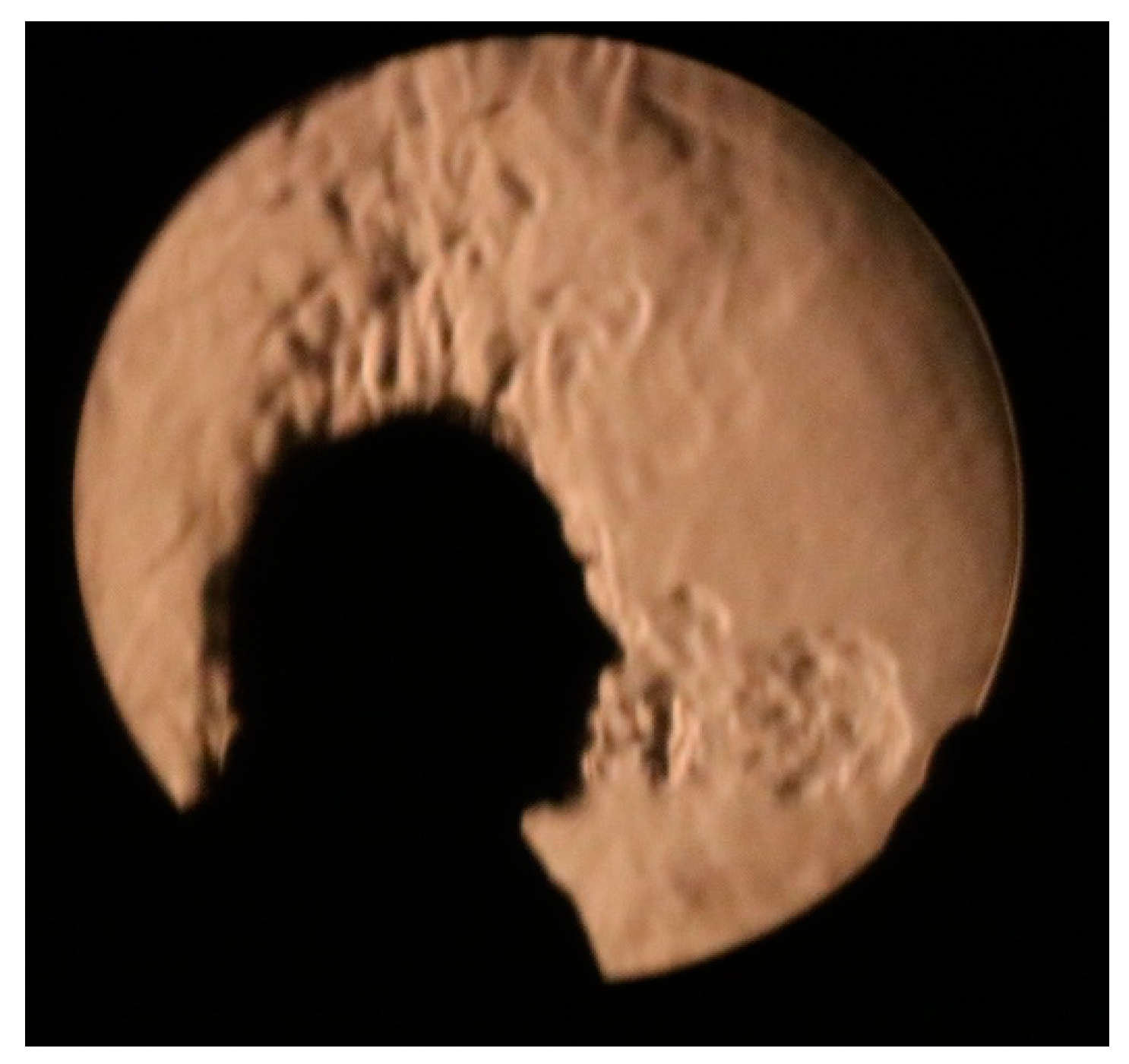 Fluids 09 00054 g002