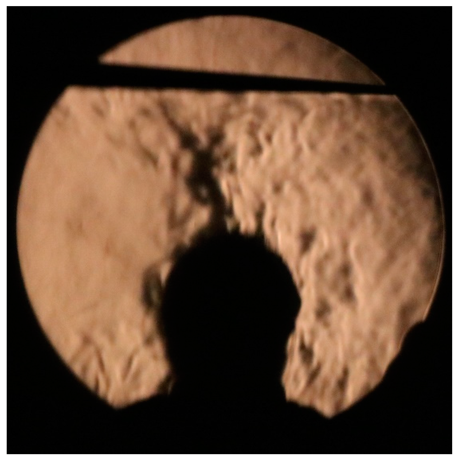 Fluids 09 00054 g006