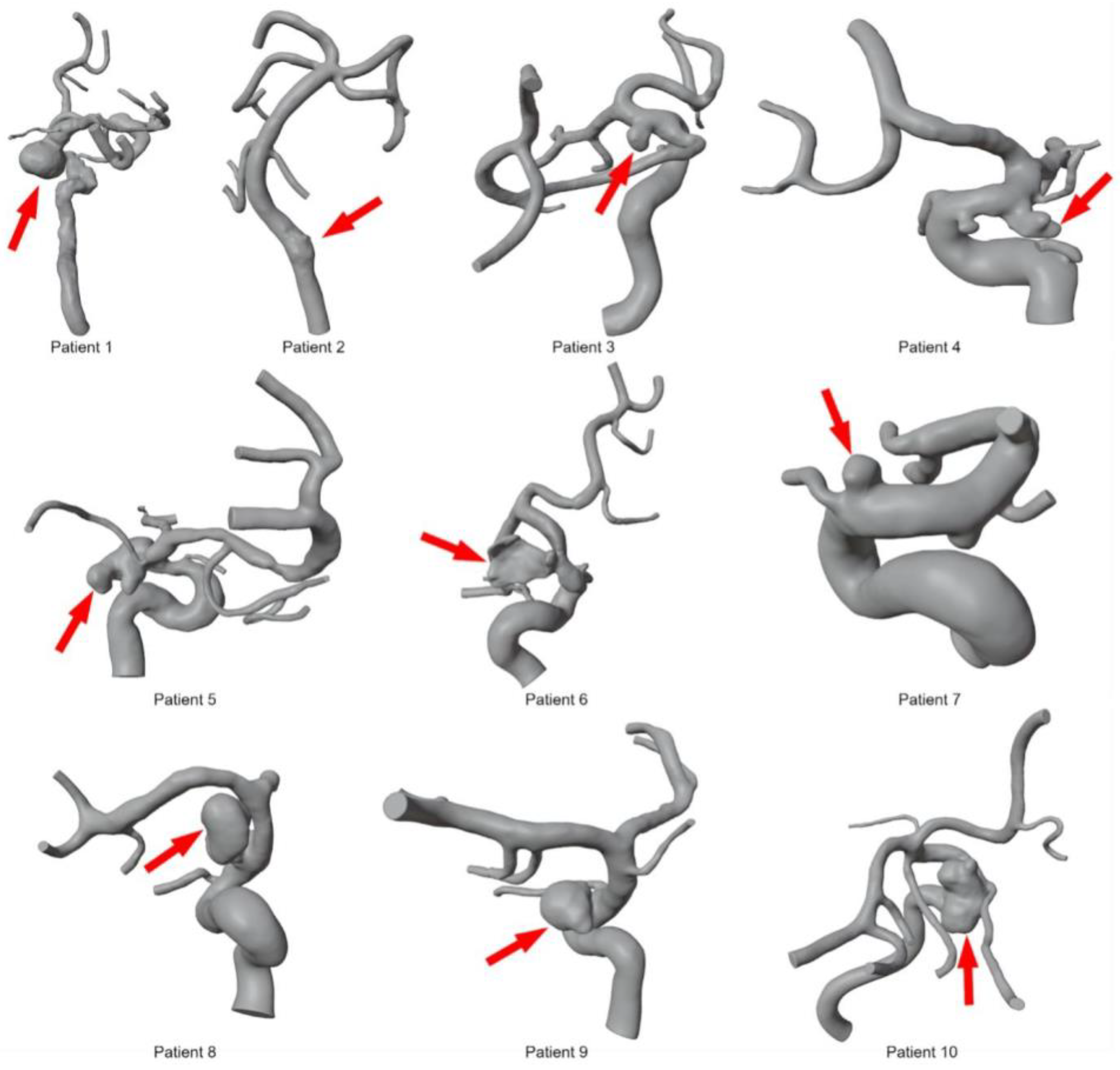 Fluids 09 00055 g002