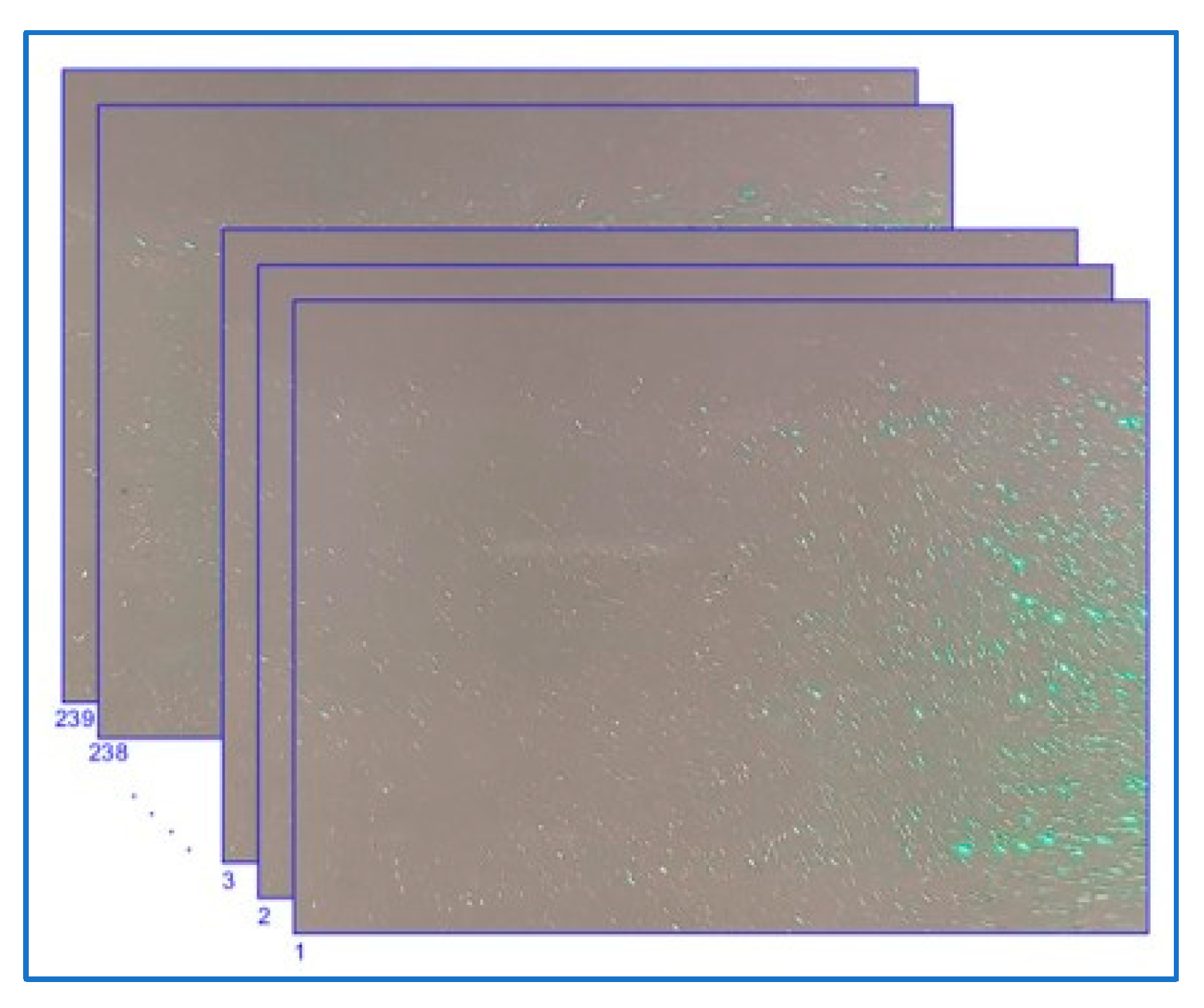 Fluids 09 00058 g004