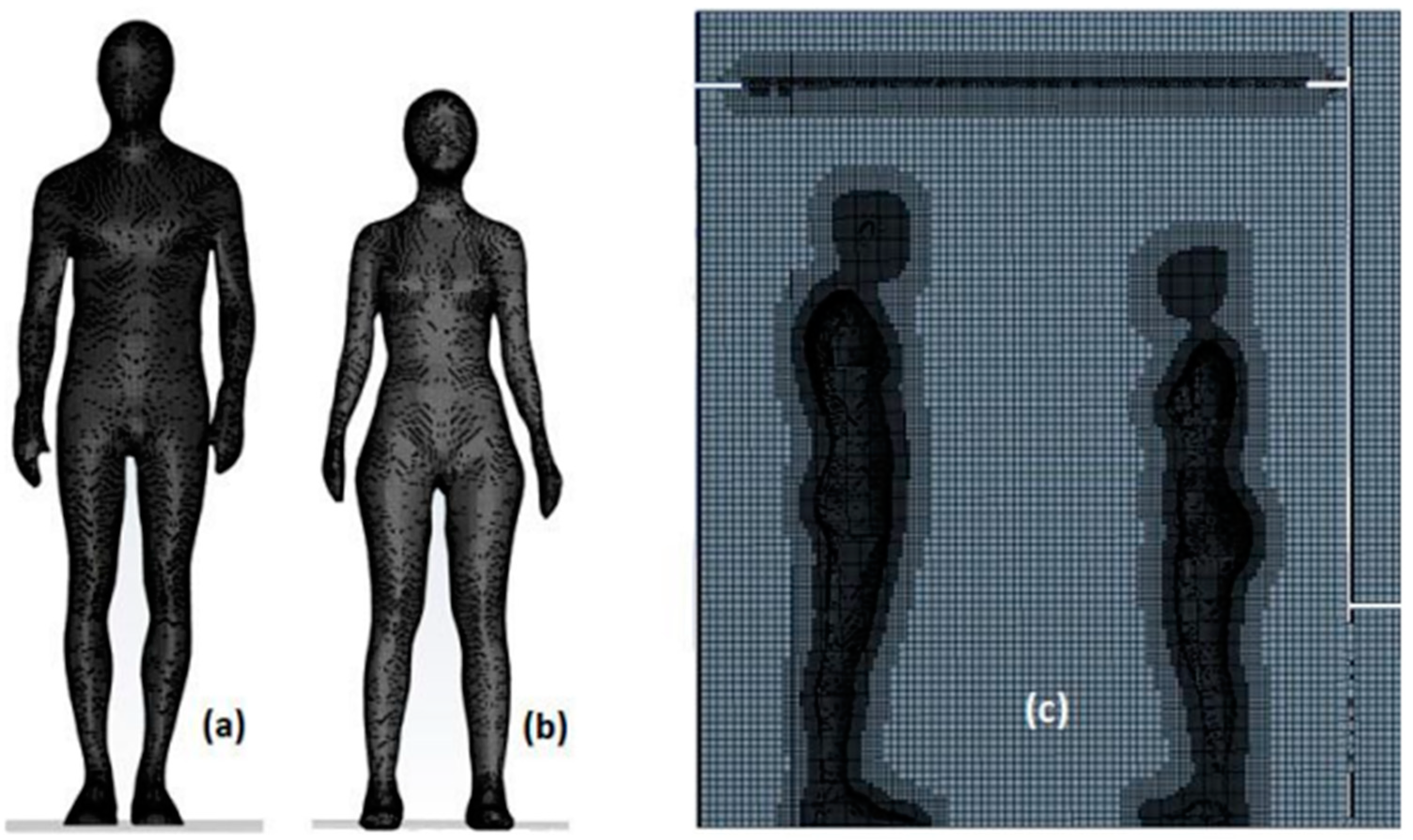 Fluids 09 00061 g002