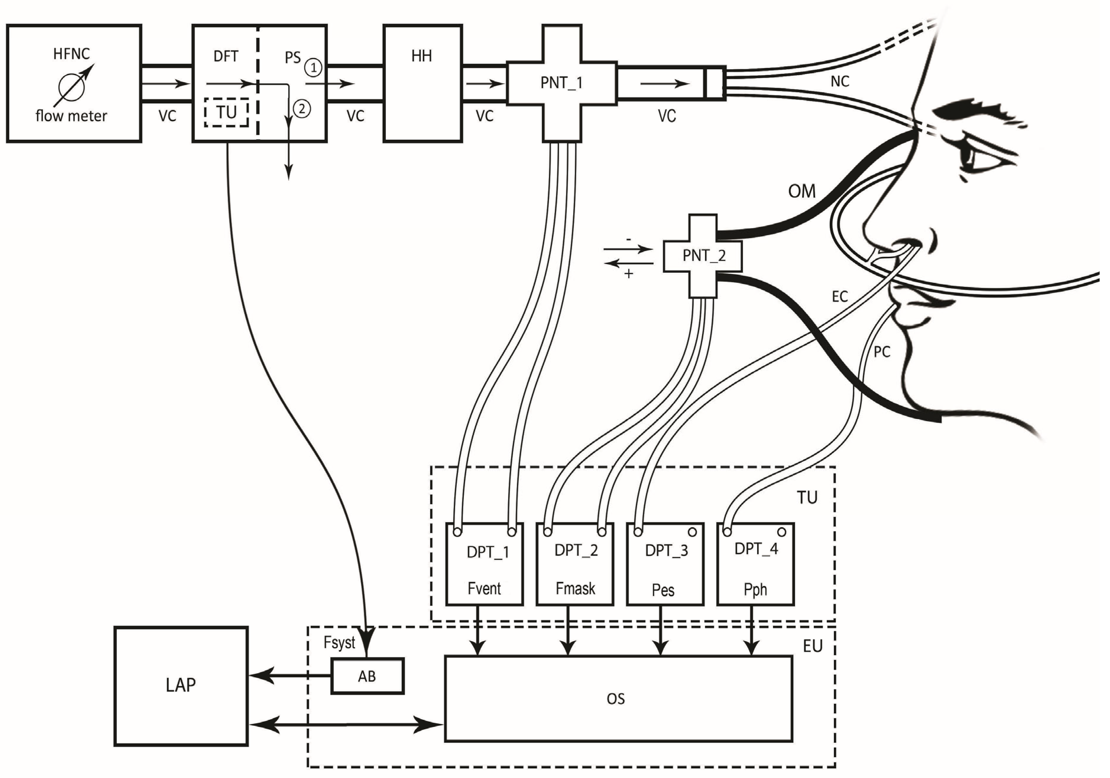 Fluids 09 00093 g001