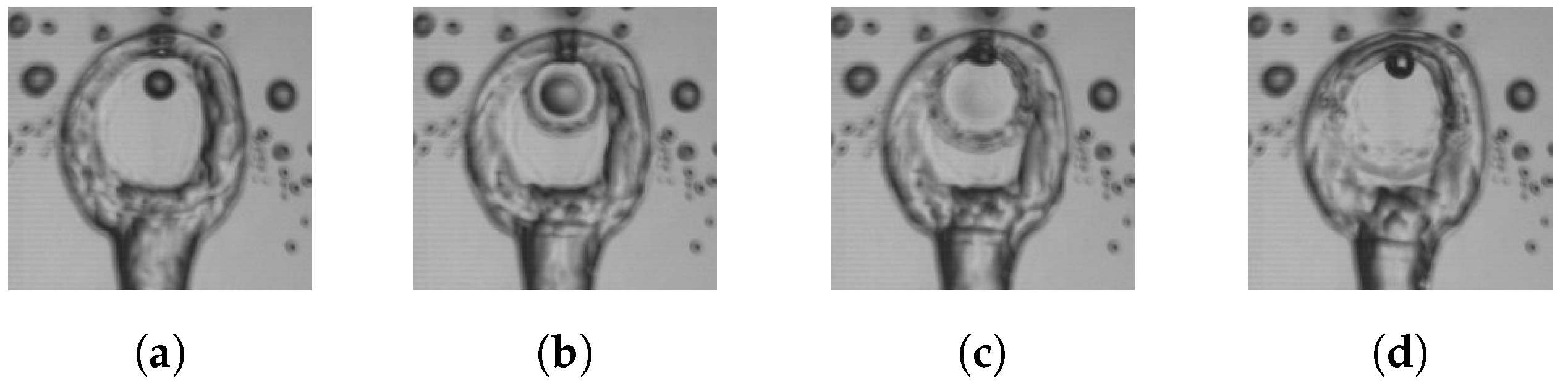 Fluids 09 00117 g003