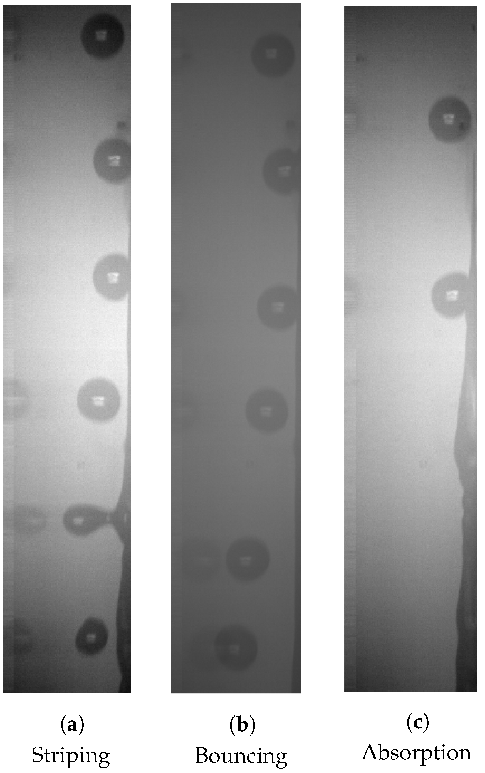 Fluids 09 00117 g006