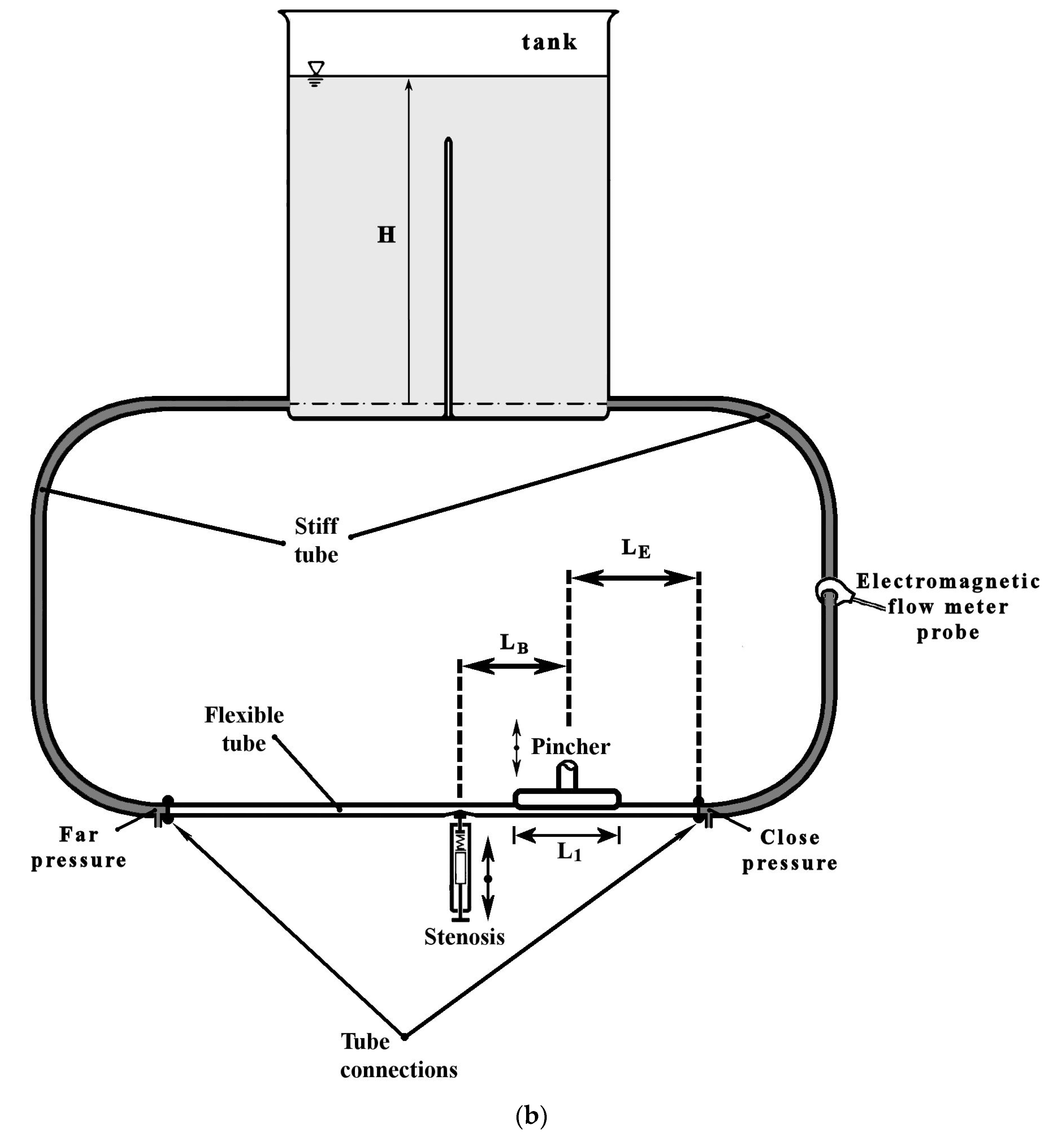 Fluids 09 00141 g001b