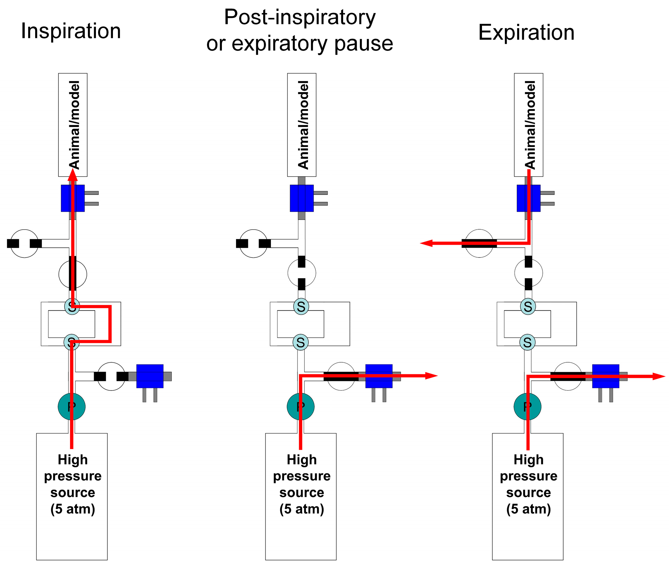 Fluids 09 00142 g004