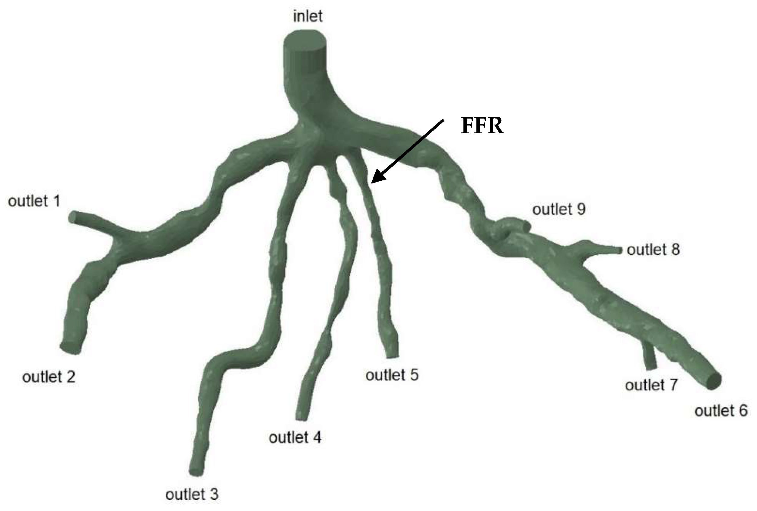Fluids 09 00153 g002