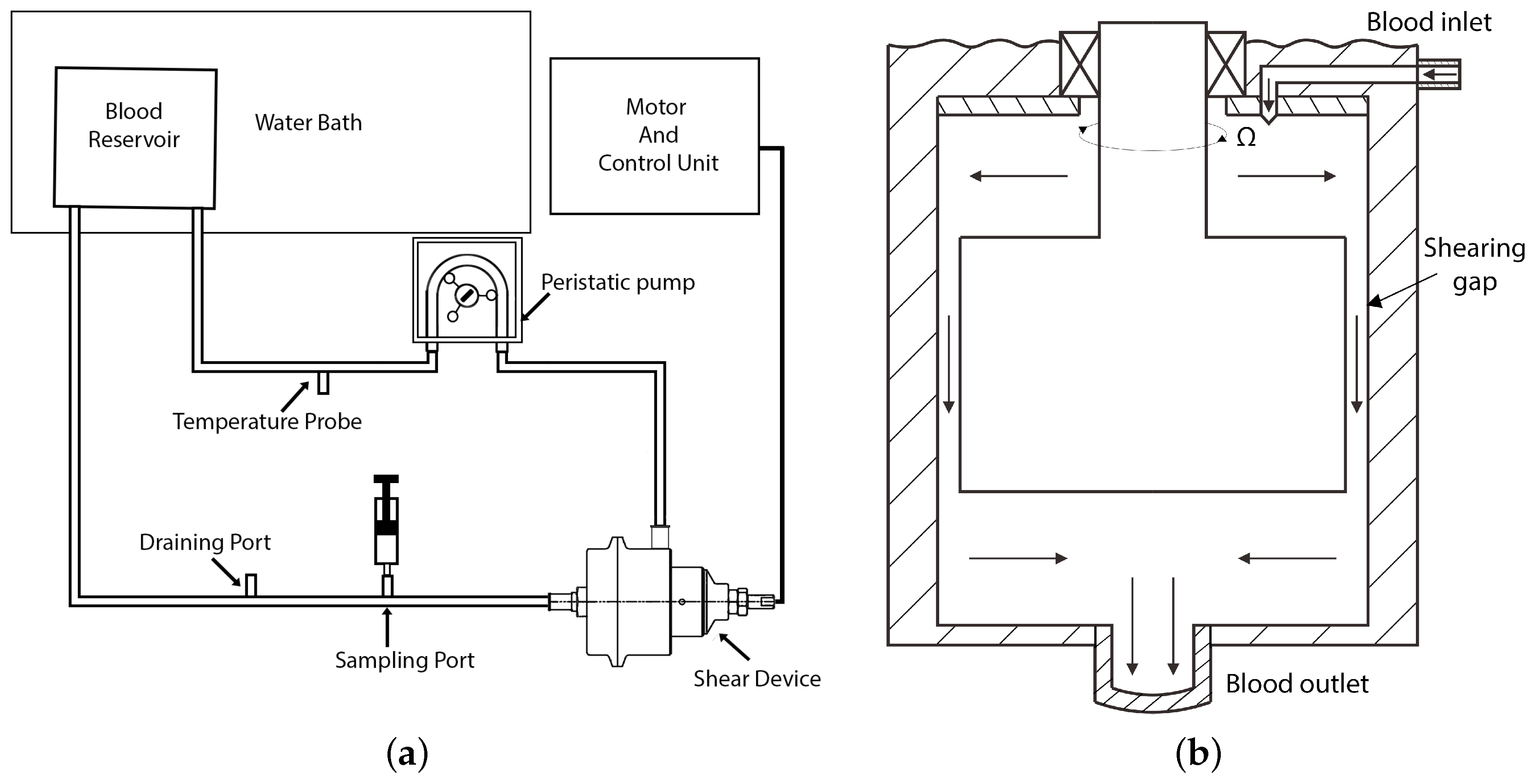 Fluids 09 00157 g002