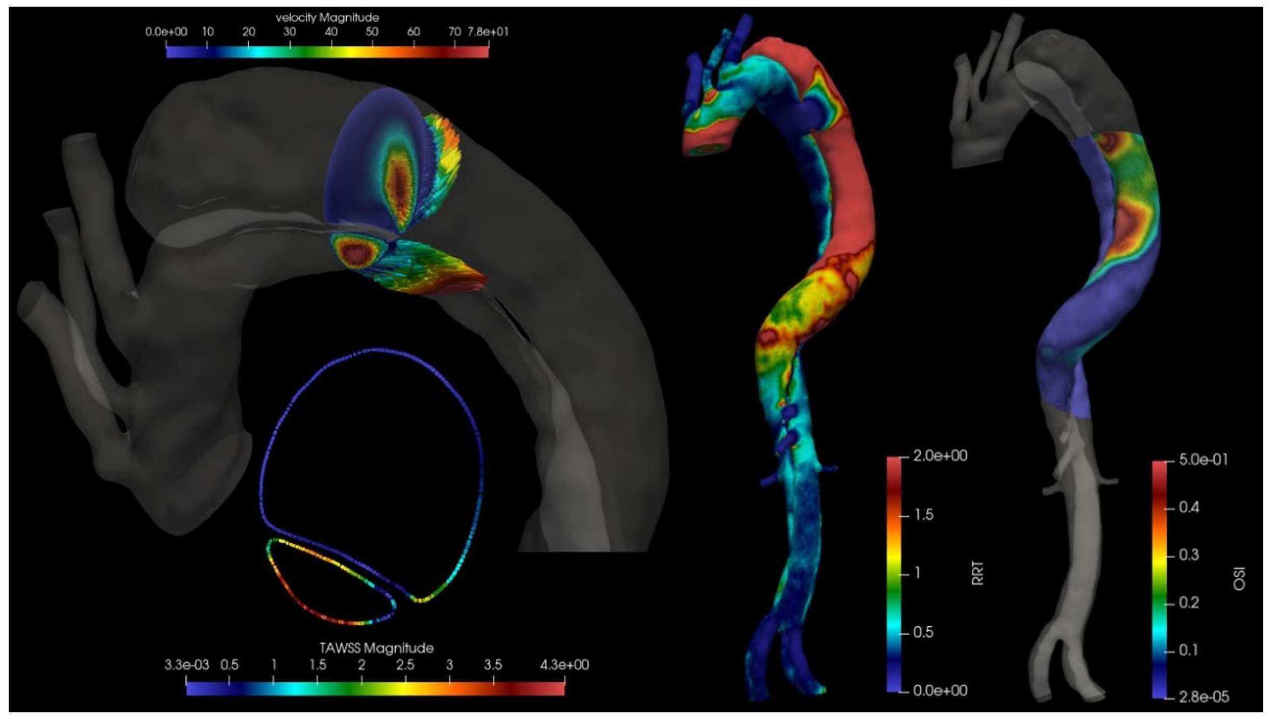 Fluids 09 00178 g007