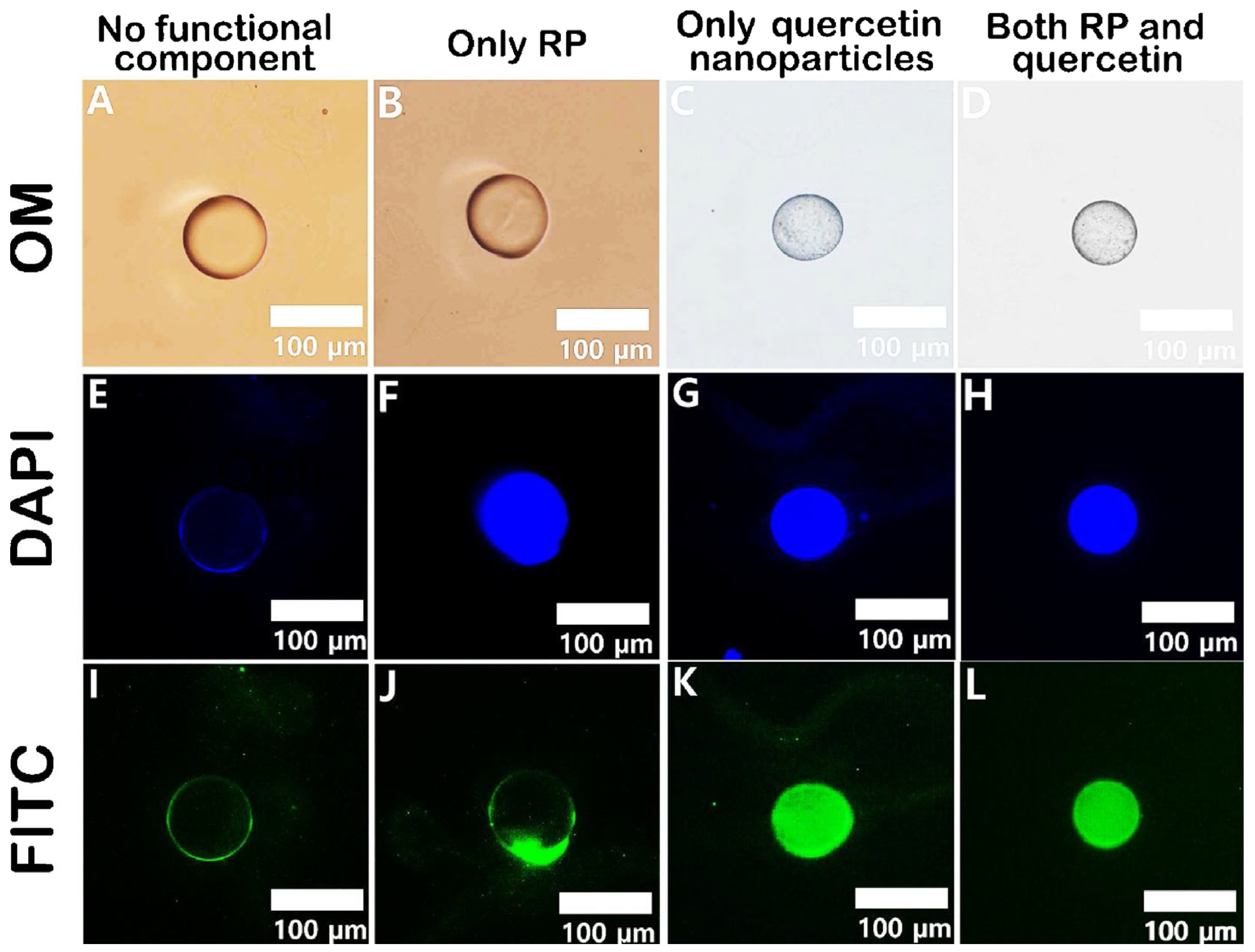 Fluids 09 00184 g004 Fluids 09 00184 g004