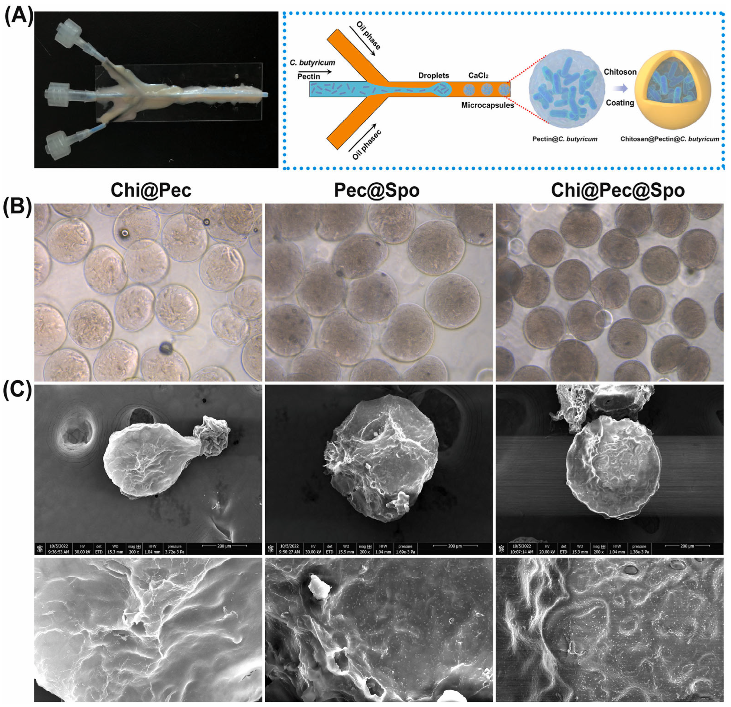 Fluids 09 00184 g005 Fluids 09 00184 g005