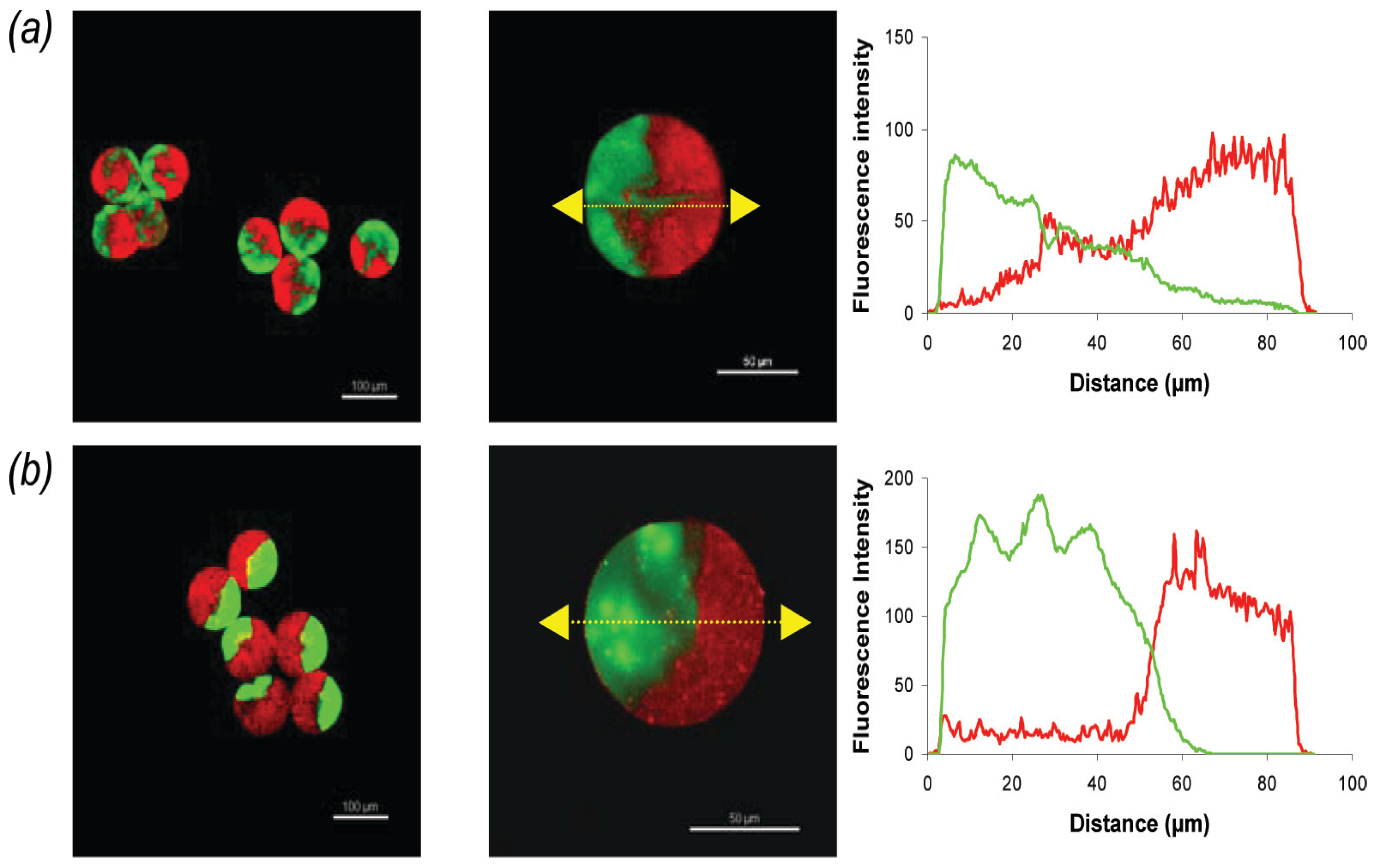 Fluids 09 00184 g006 Fluids 09 00184 g006