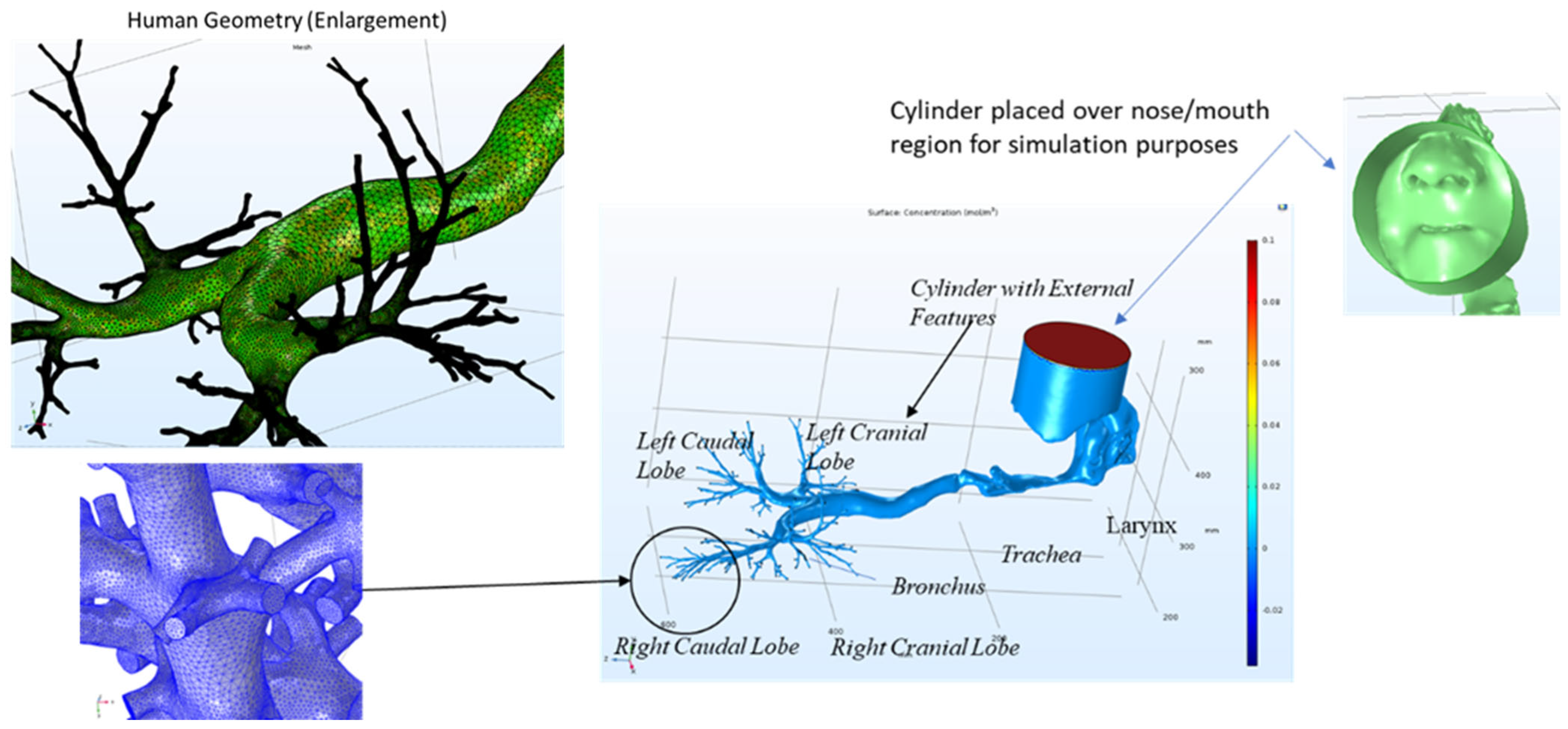 Fluids 09 00186 g003