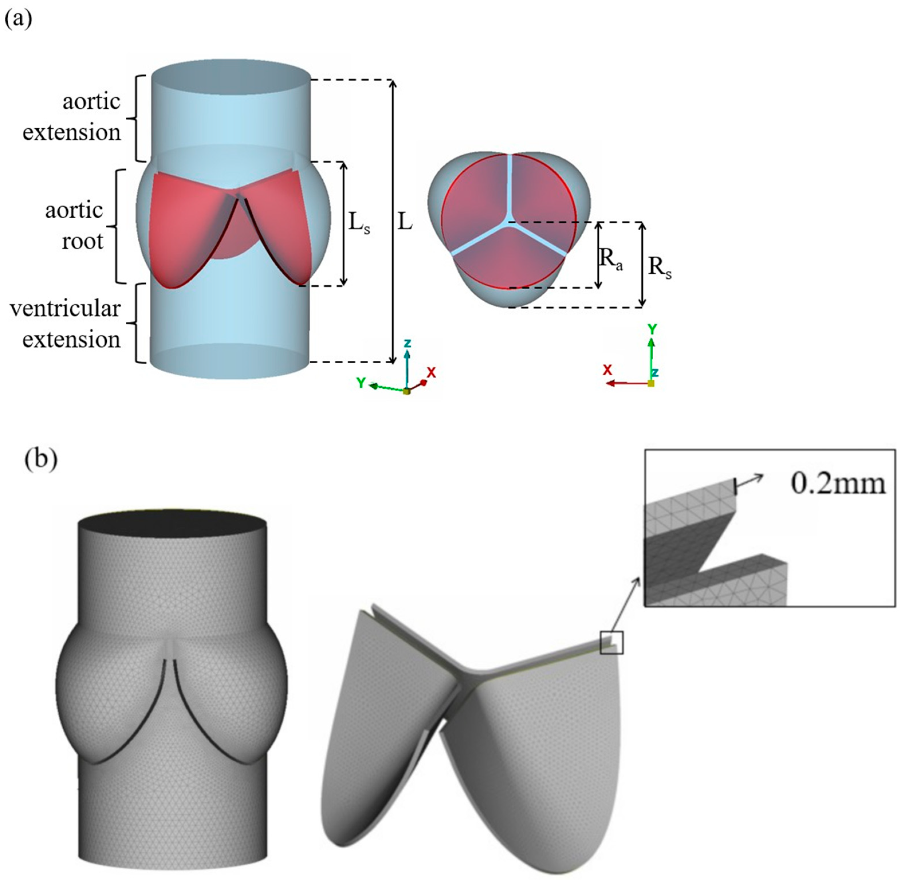 Fluids 09 00209 g002