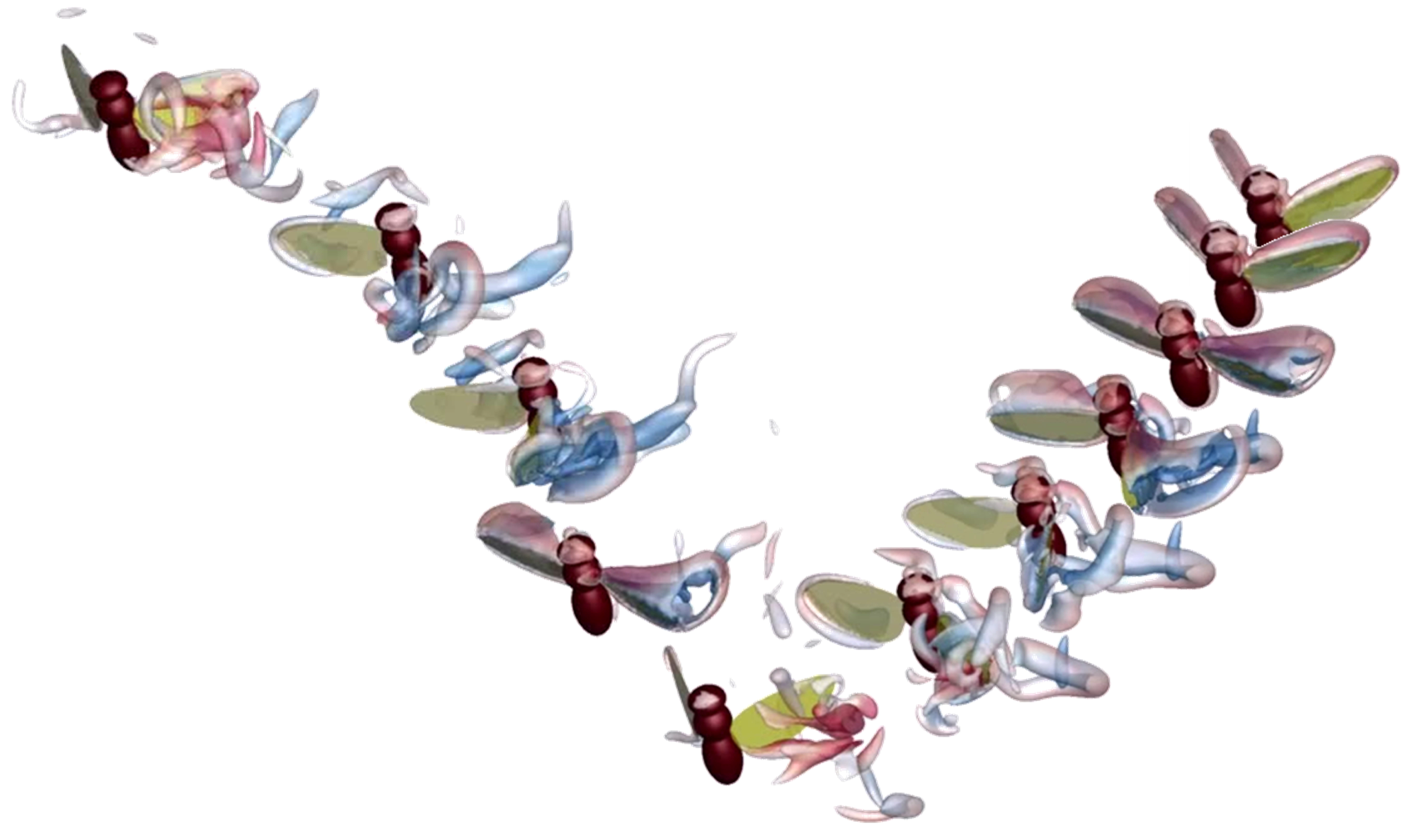 Fluids 09 00216 g005