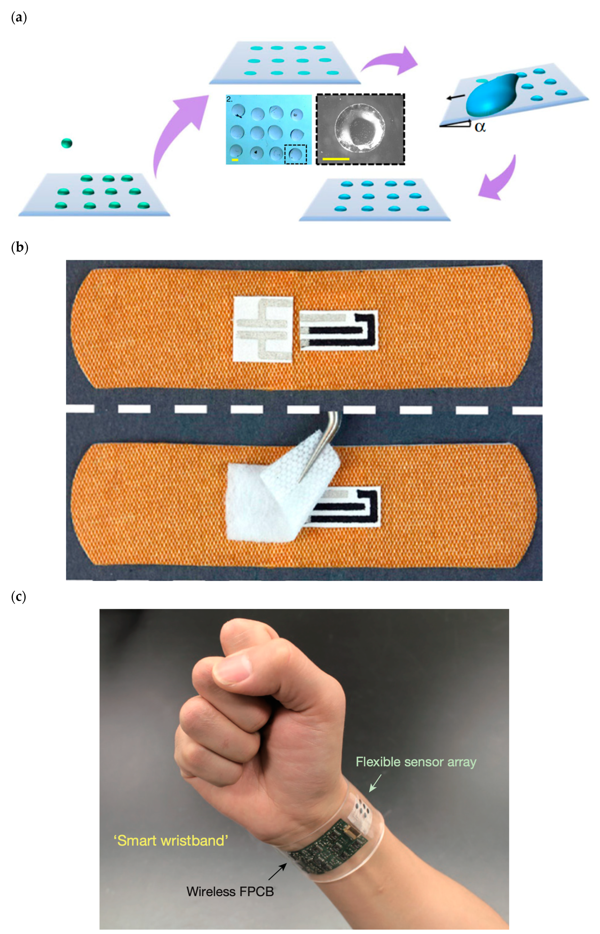 Fluids 09 00223 g002 Fluids 09 00223 g002