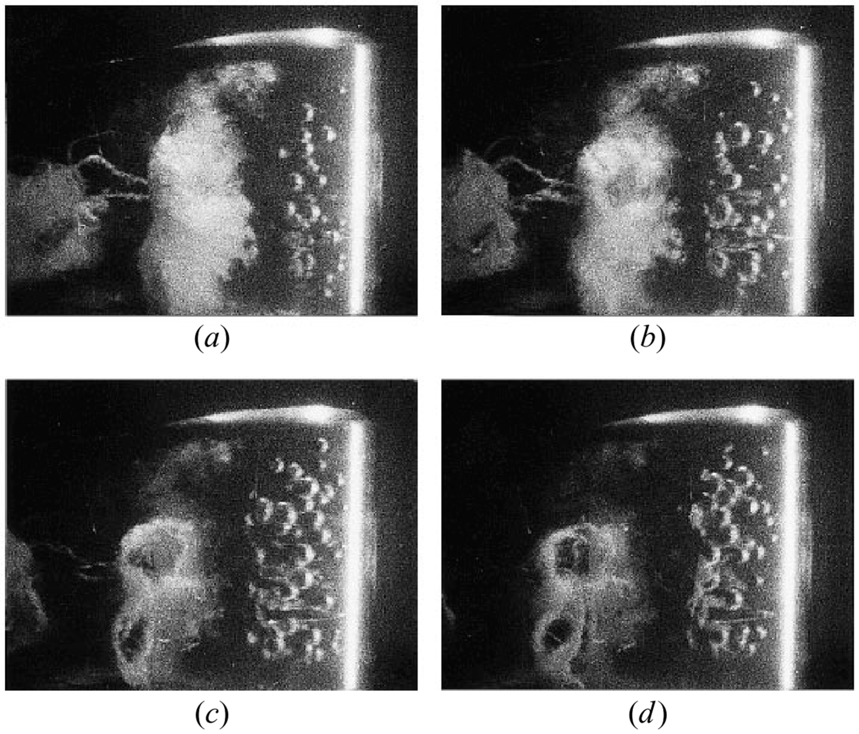 Fluids 09 00249 g016