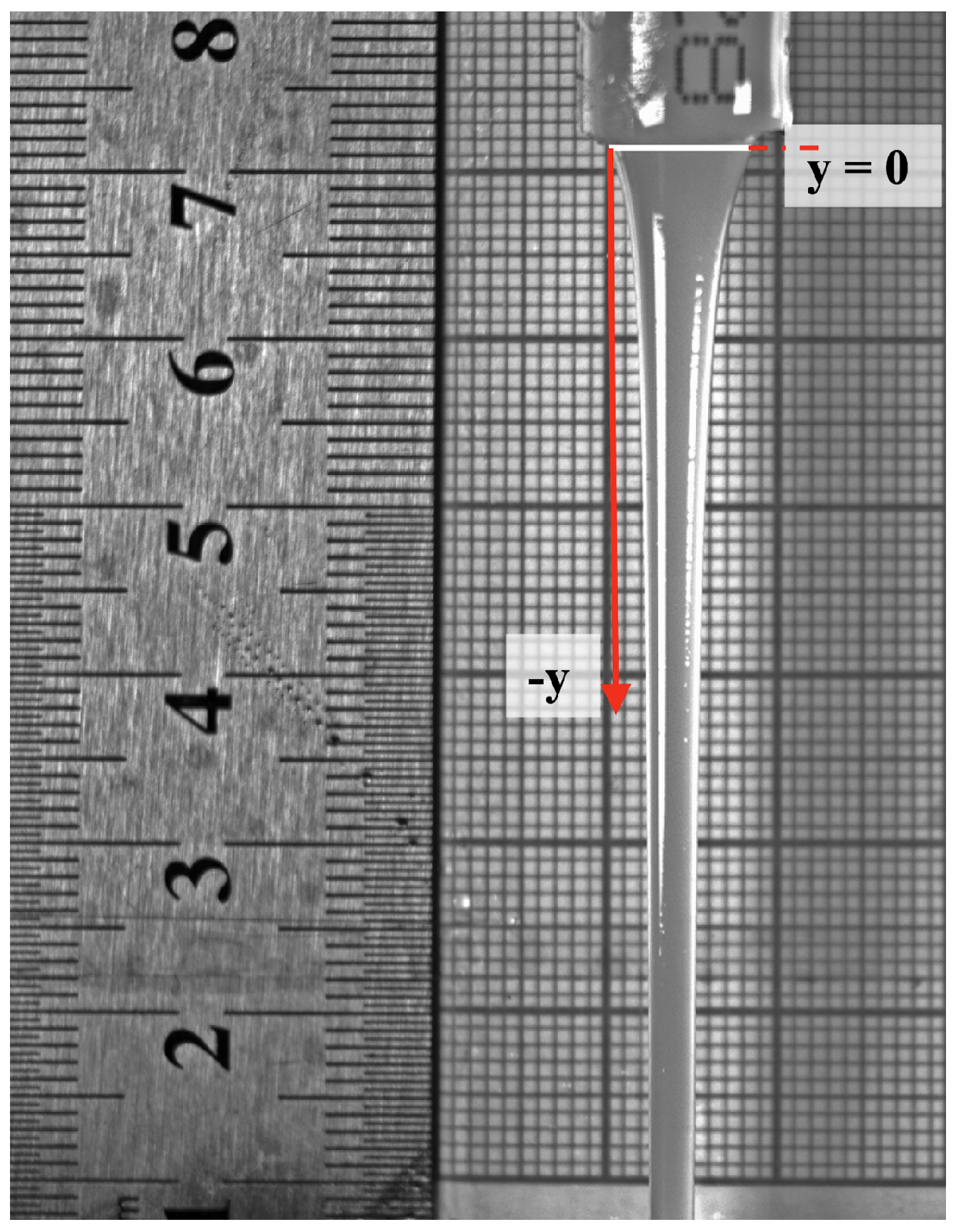 Fluids 09 00264 g005