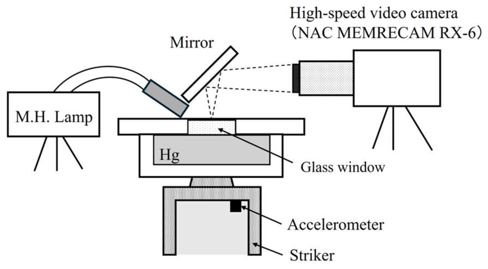 Fluids 09 00289 g002