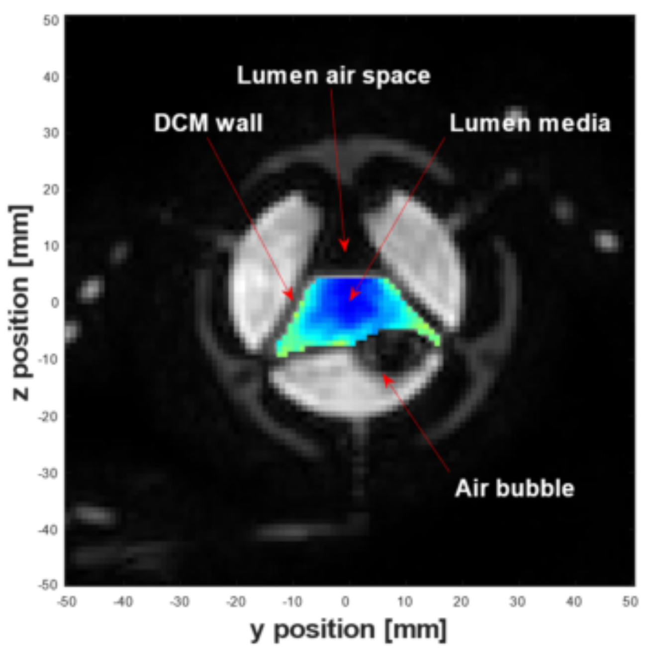 Fluids 10 00022 g003