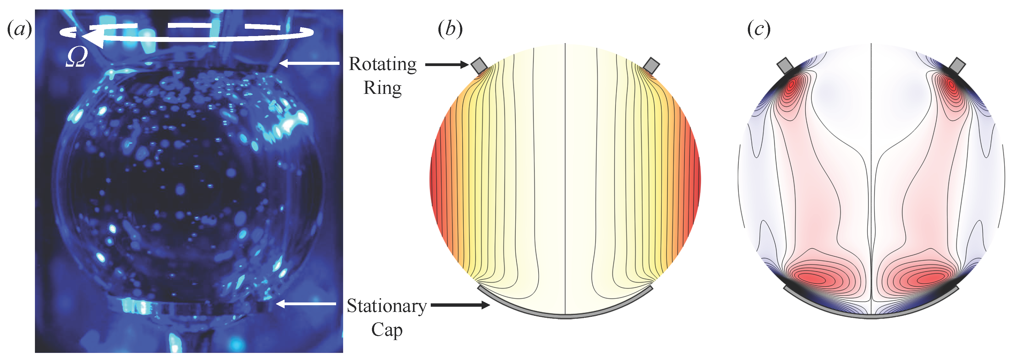 Fluids 10 00058 g001
