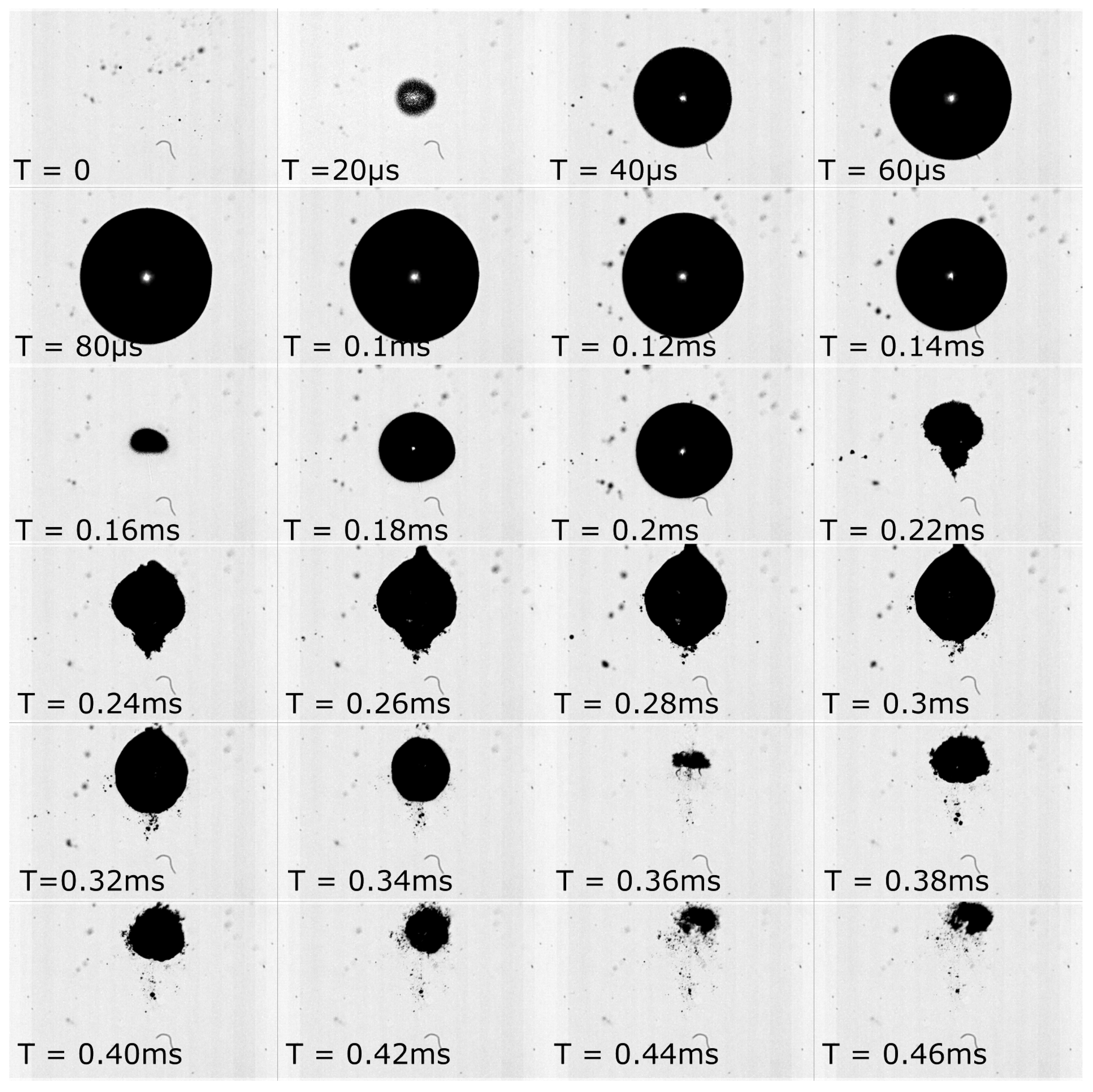 Fluids 10 00070 g005