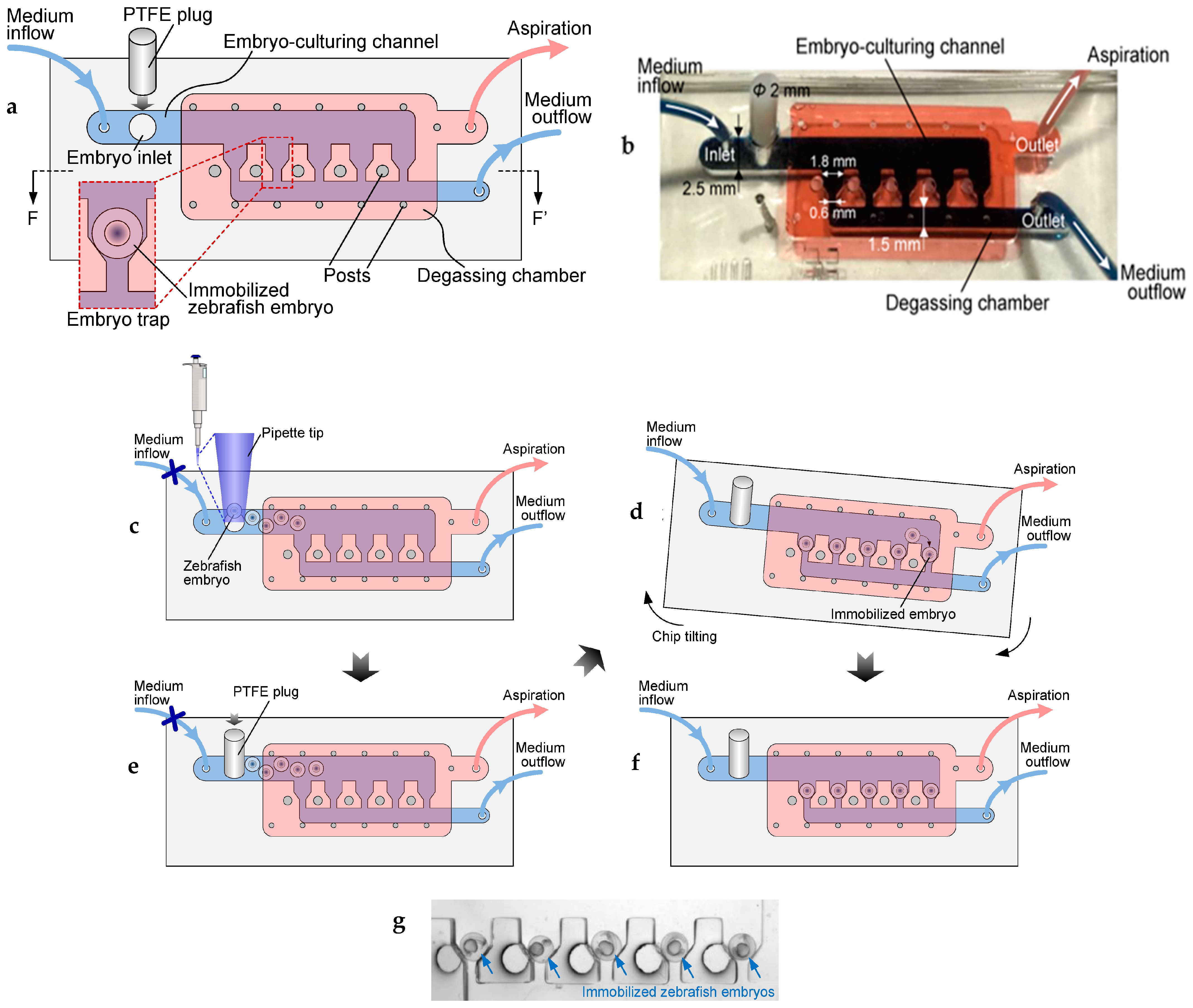 Fluids 10 00088 g002 Fluids 10 00088 g002