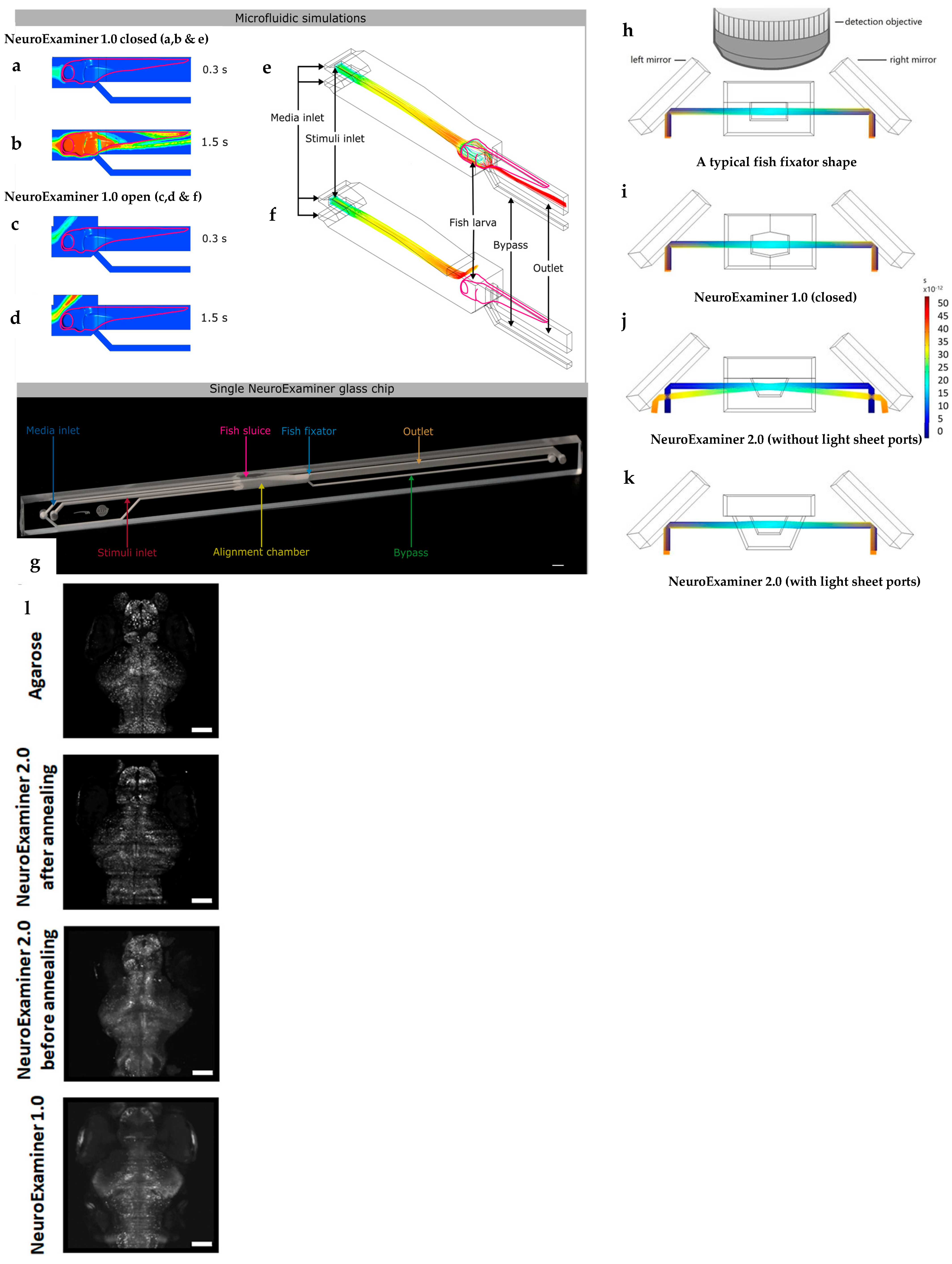 Fluids 10 00088 g005 Fluids 10 00088 g005