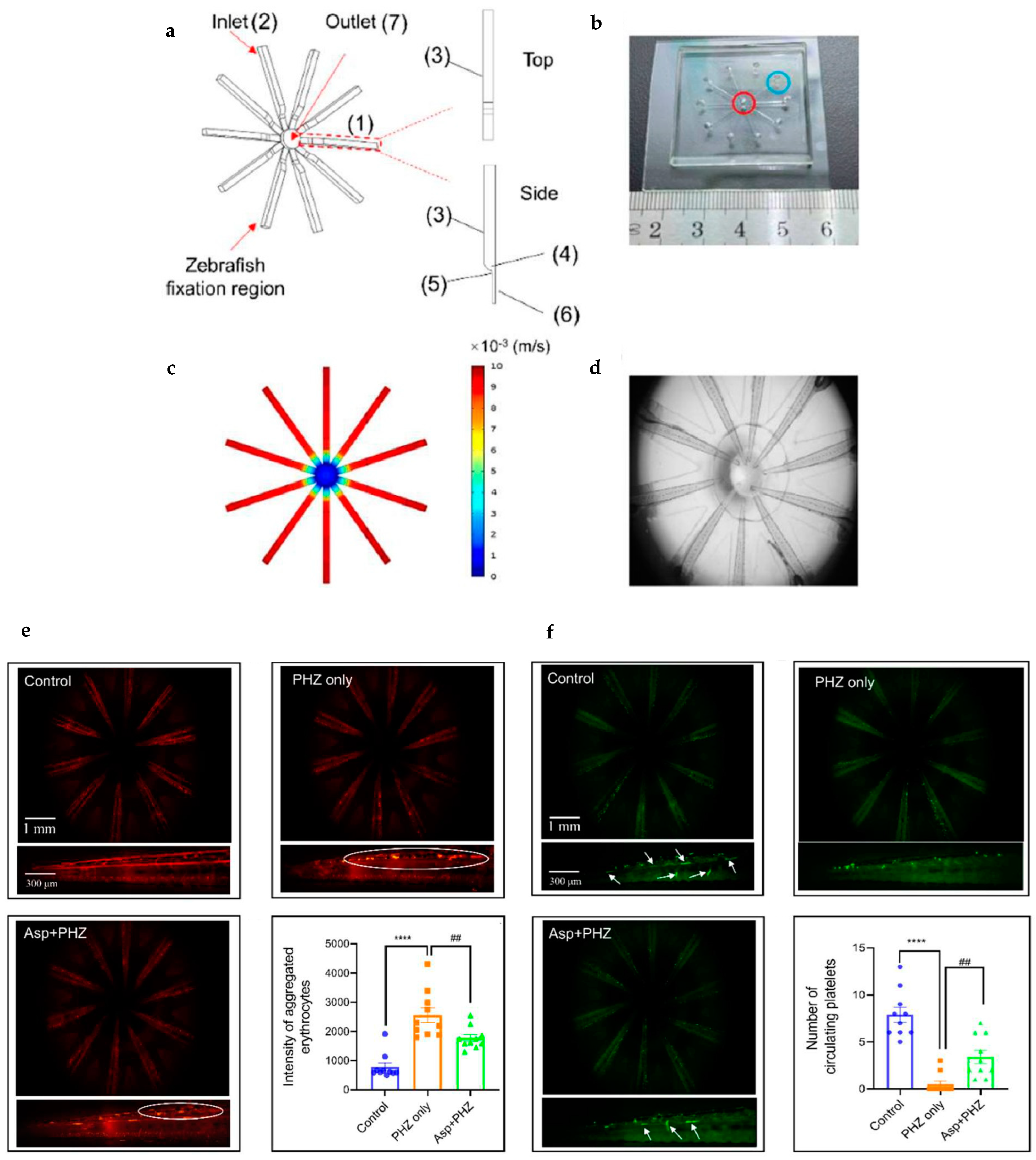 Fluids 10 00088 g011 Fluids 10 00088 g011