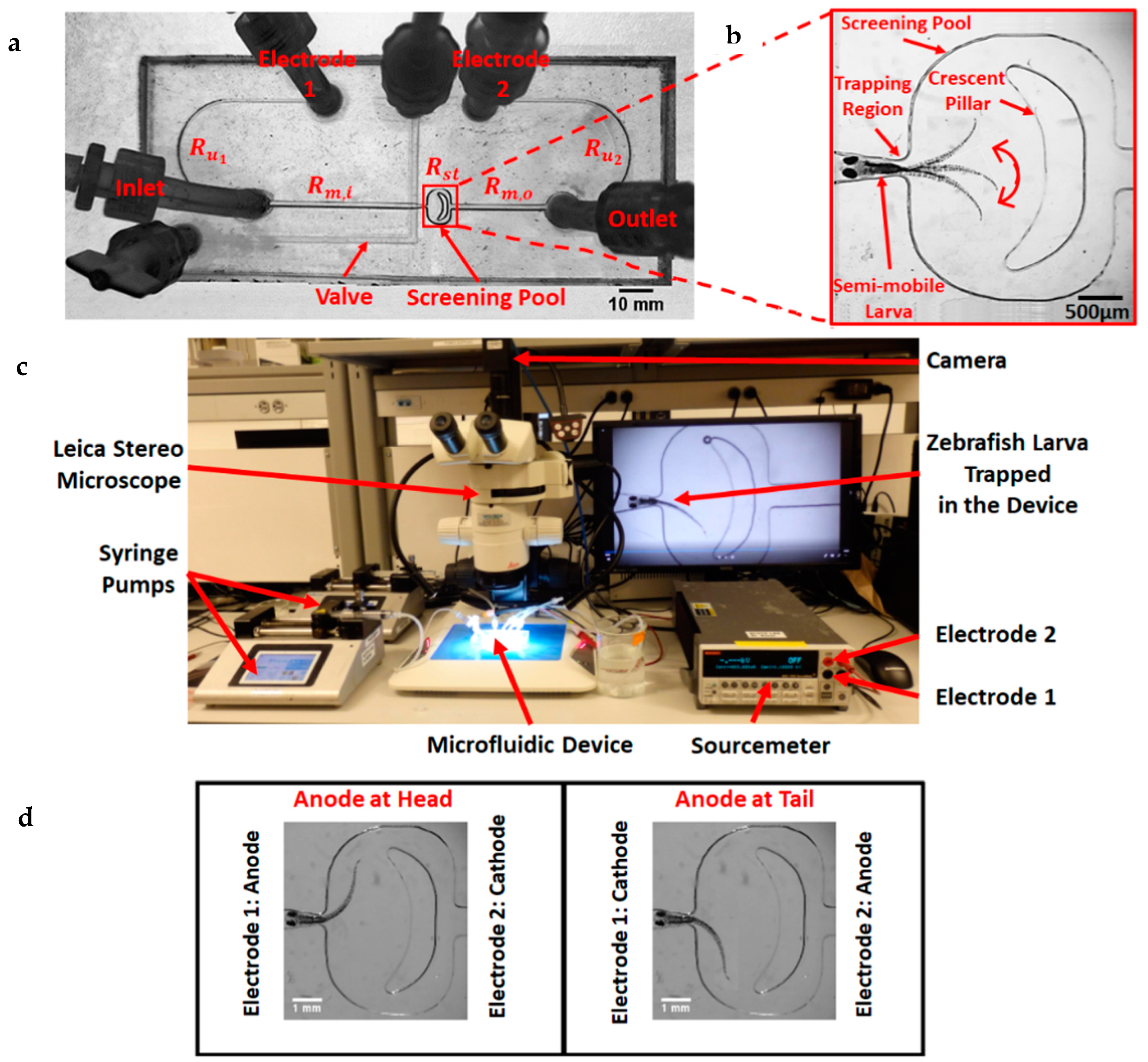 Fluids 10 00088 g019 Fluids 10 00088 g019