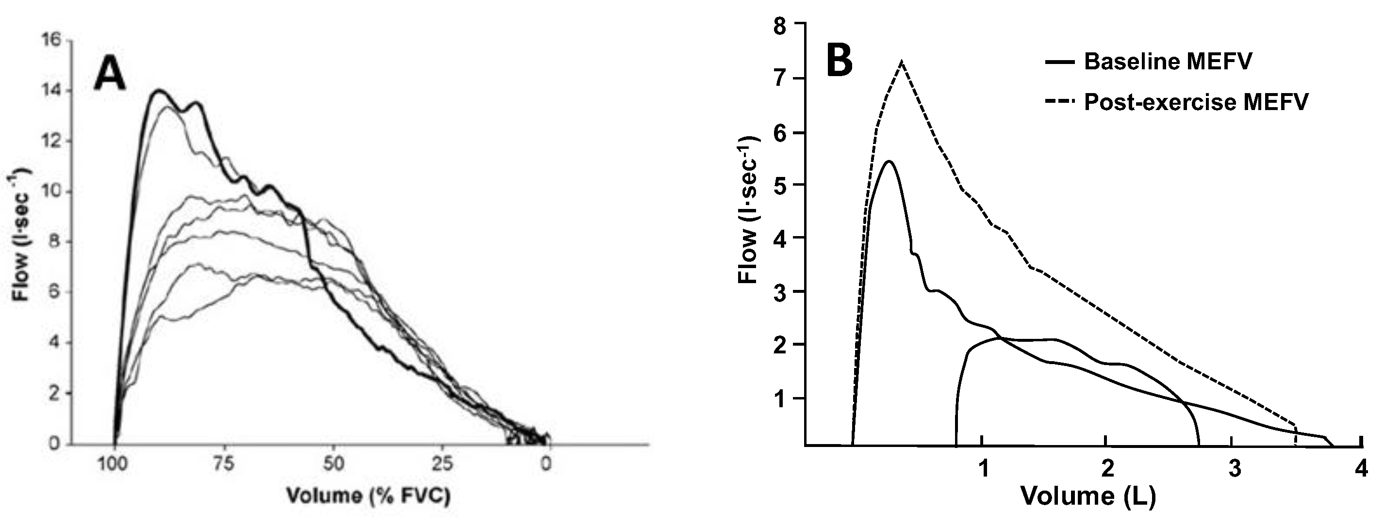 Fluids 10 00094 g003